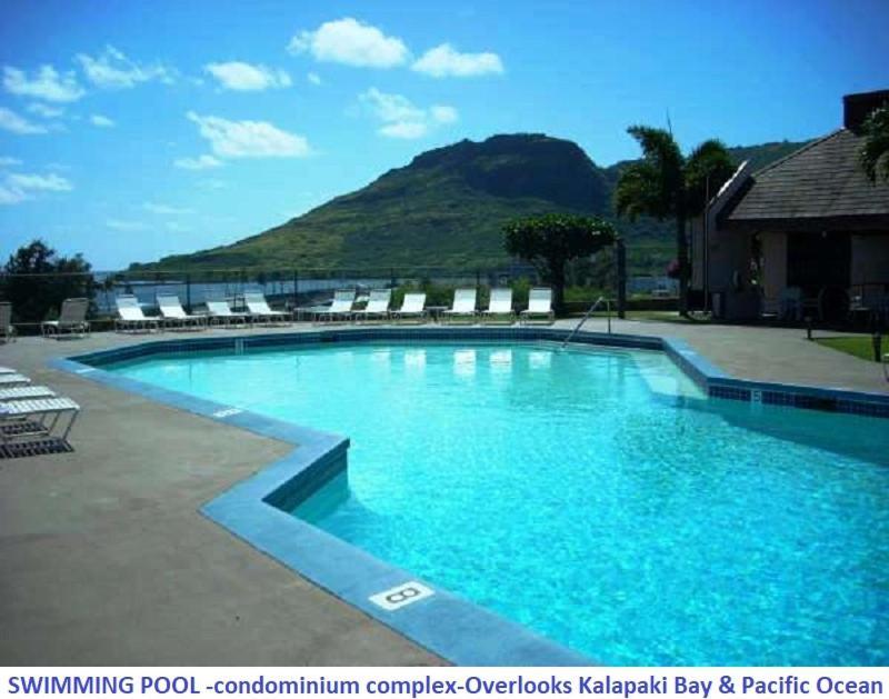 Banyan Harbor photo 3