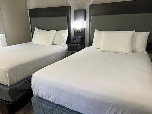 Super 8 by Wyndham San Francisco/Union Square Area photo 6