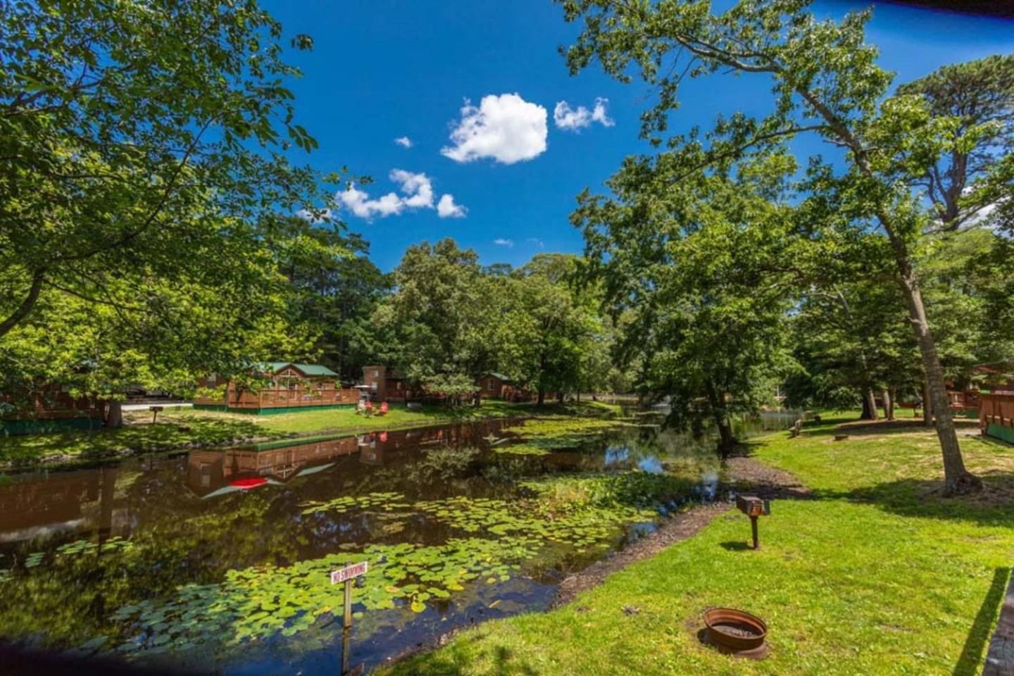 Pine Haven photo 25
