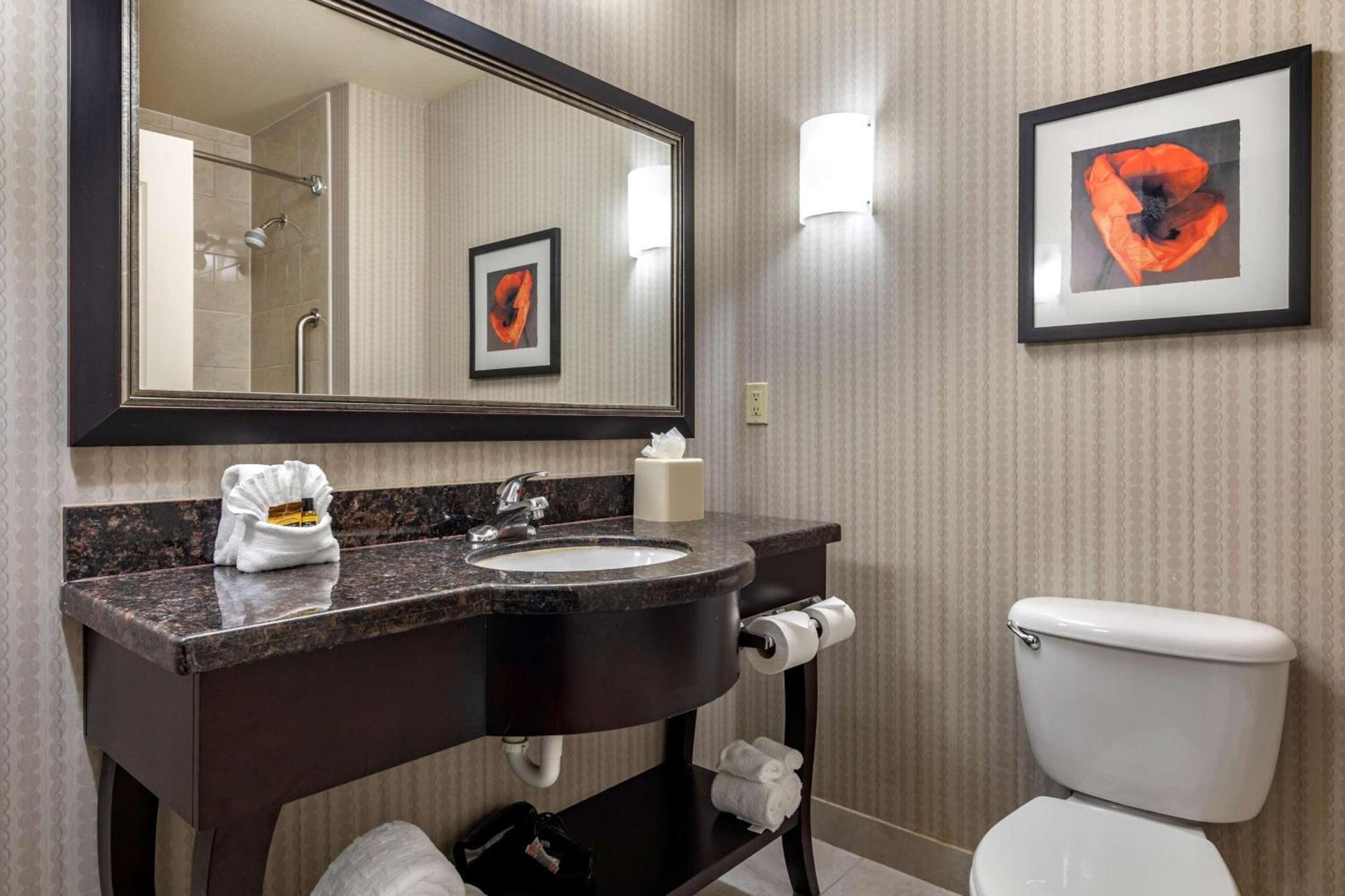 Best Western Plus DFW Airport West Euless photo 15