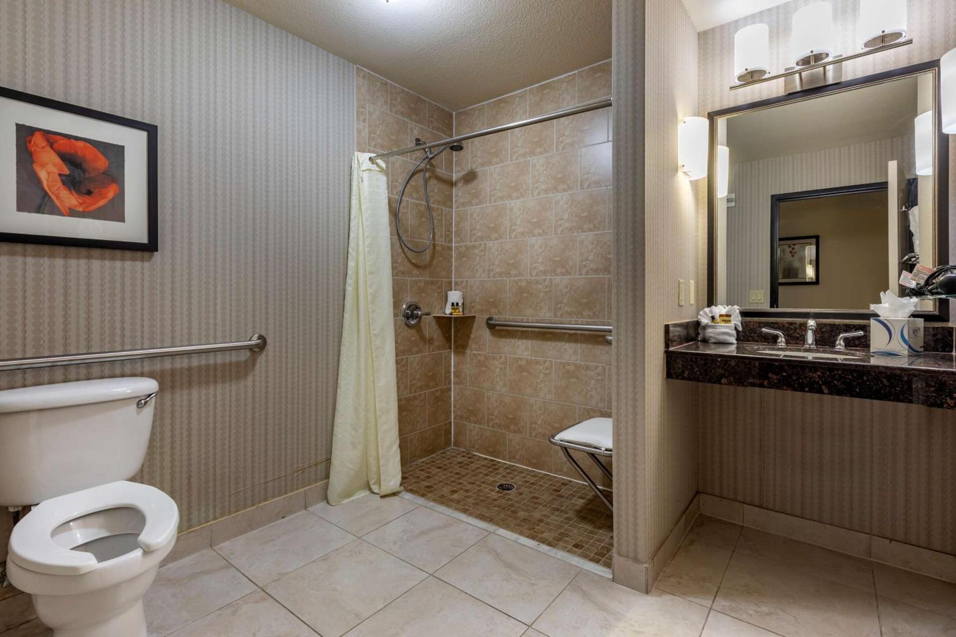 Best Western Plus DFW Airport West Euless photo 16
