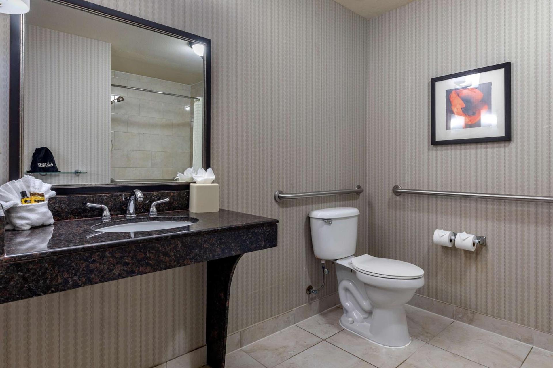 Best Western Plus DFW Airport West Euless photo 17