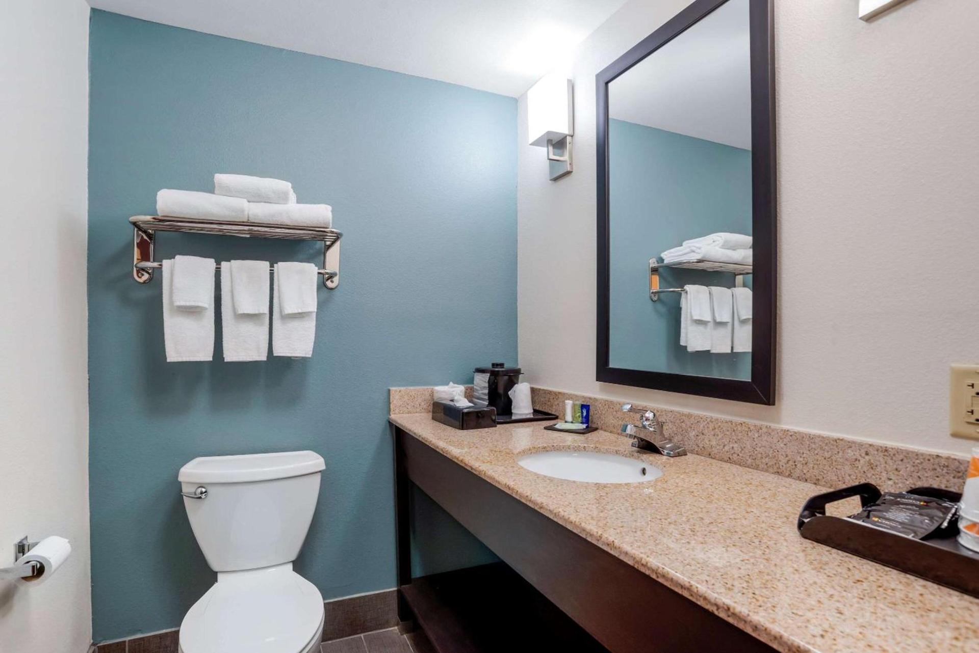 Sleep Inn & Suites Auburn Campus Area I-85 photo 18