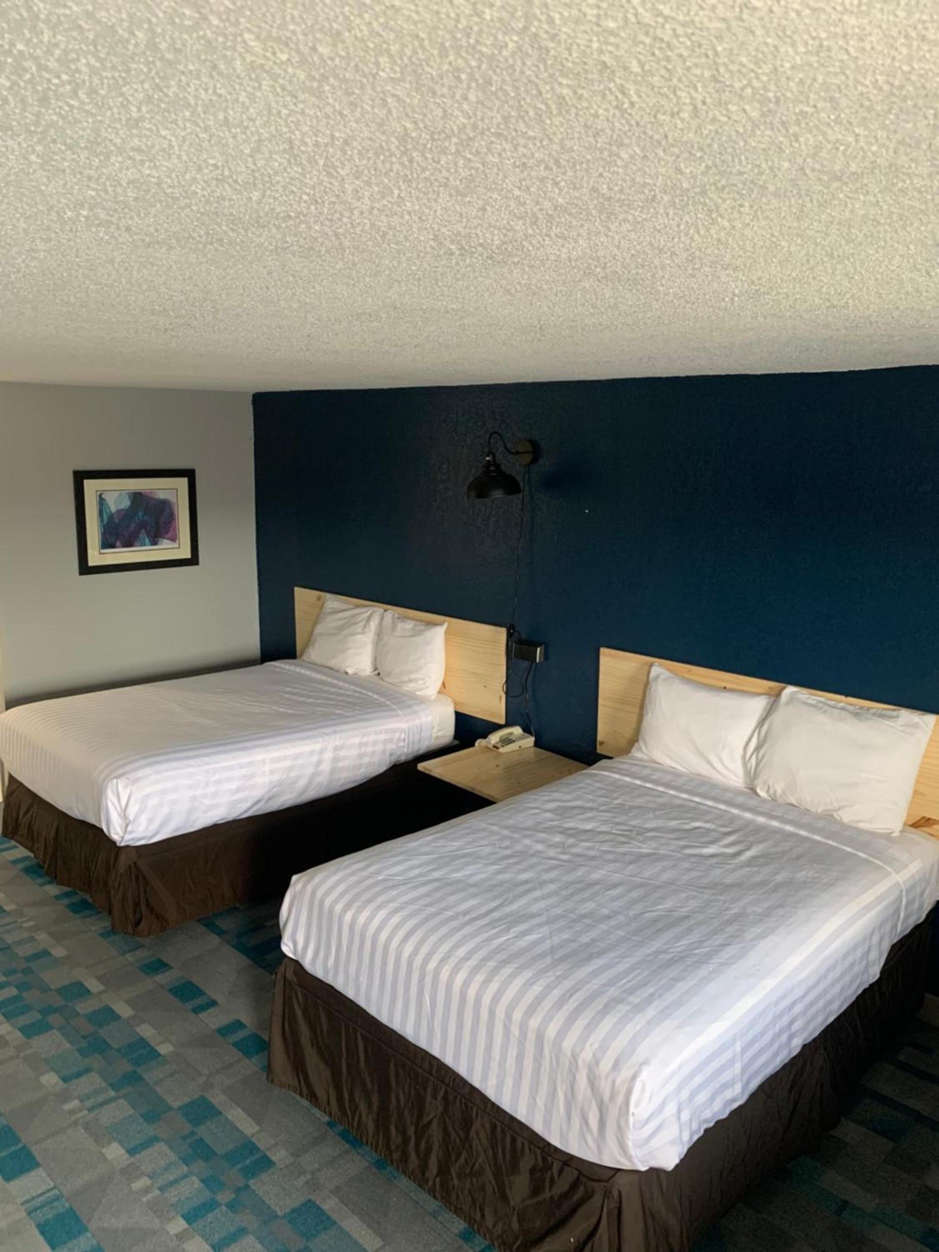 ROYALINN photo 12