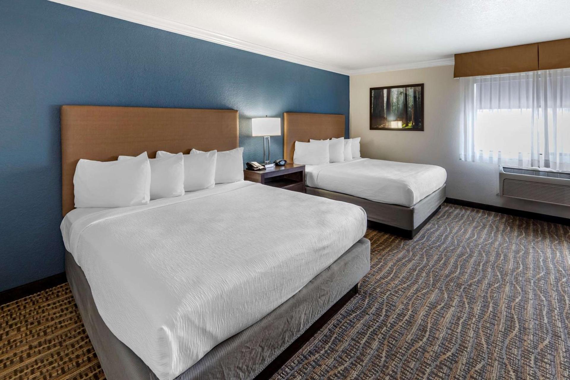 Best Western Town & Country Lodge photo 21