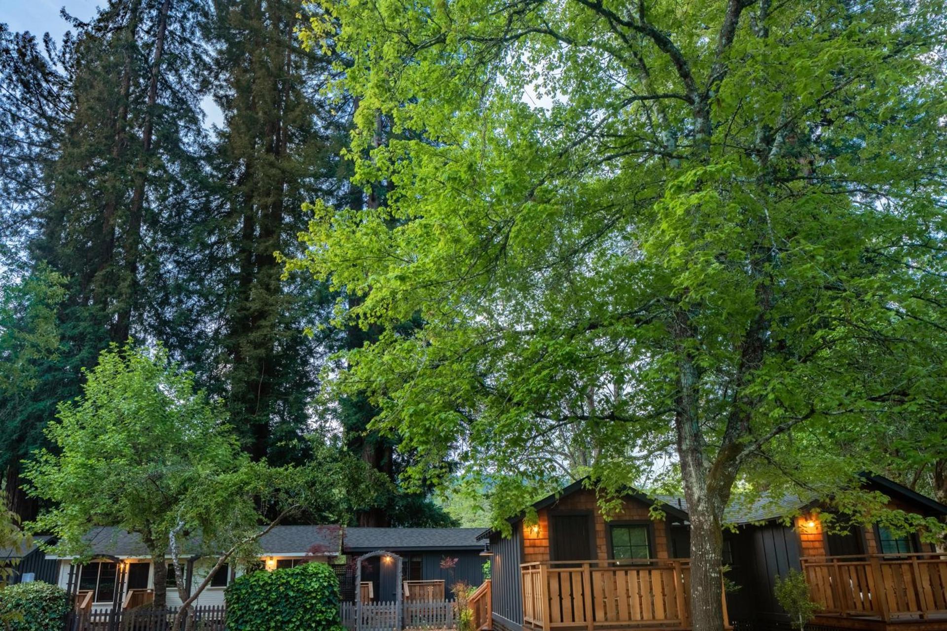 Dawn Ranch photo 57