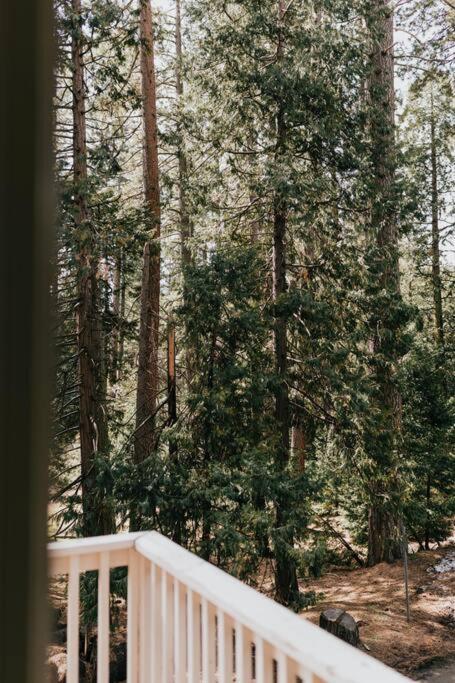 The Long Barn Lodge photo 16