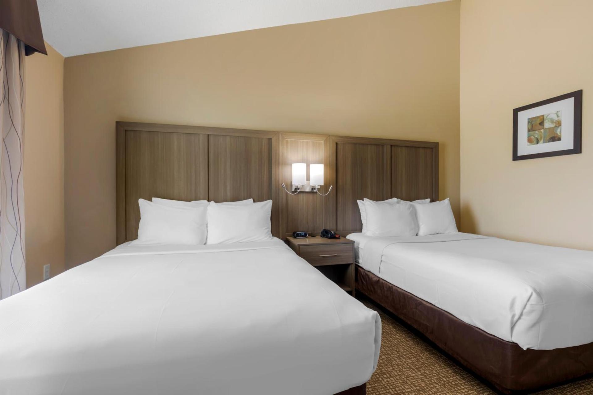 Comfort Suites DFW Airport photo 52