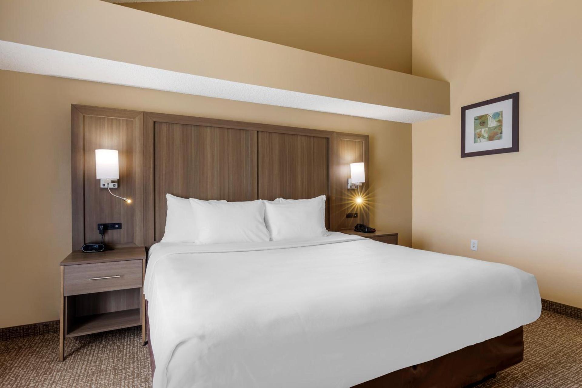 Comfort Suites DFW Airport photo 54