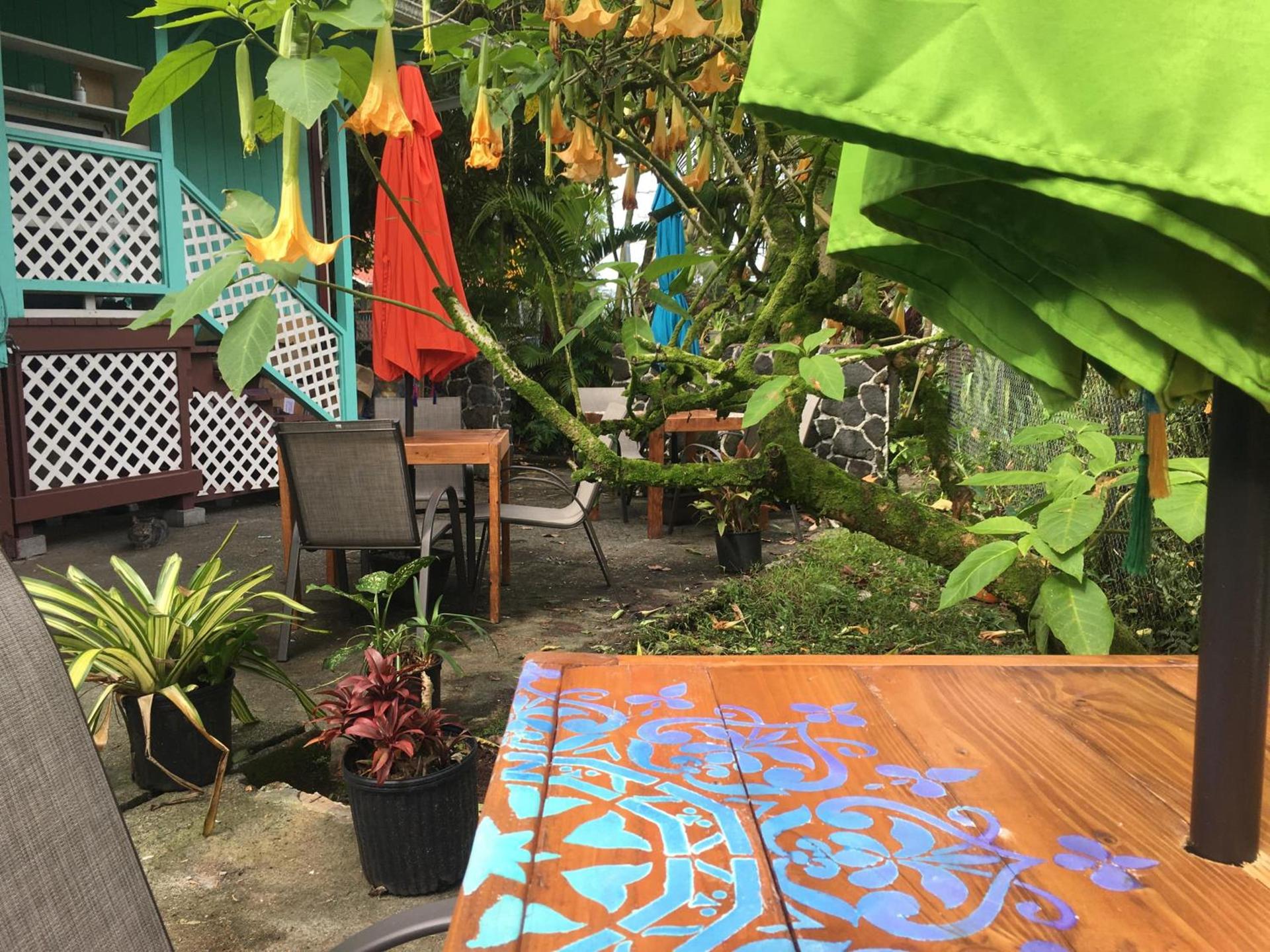Pahoa Village Hostel photo 30