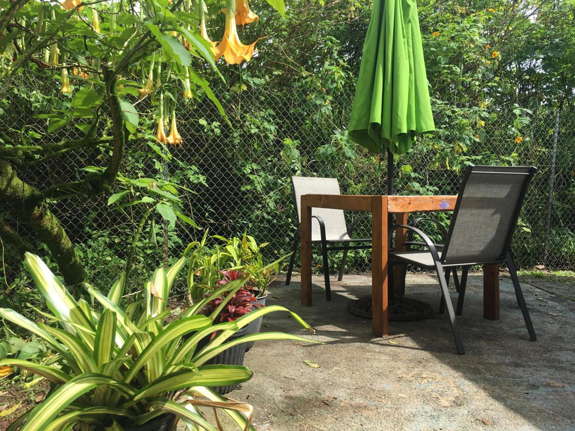 Pahoa Village Hostel photo 32