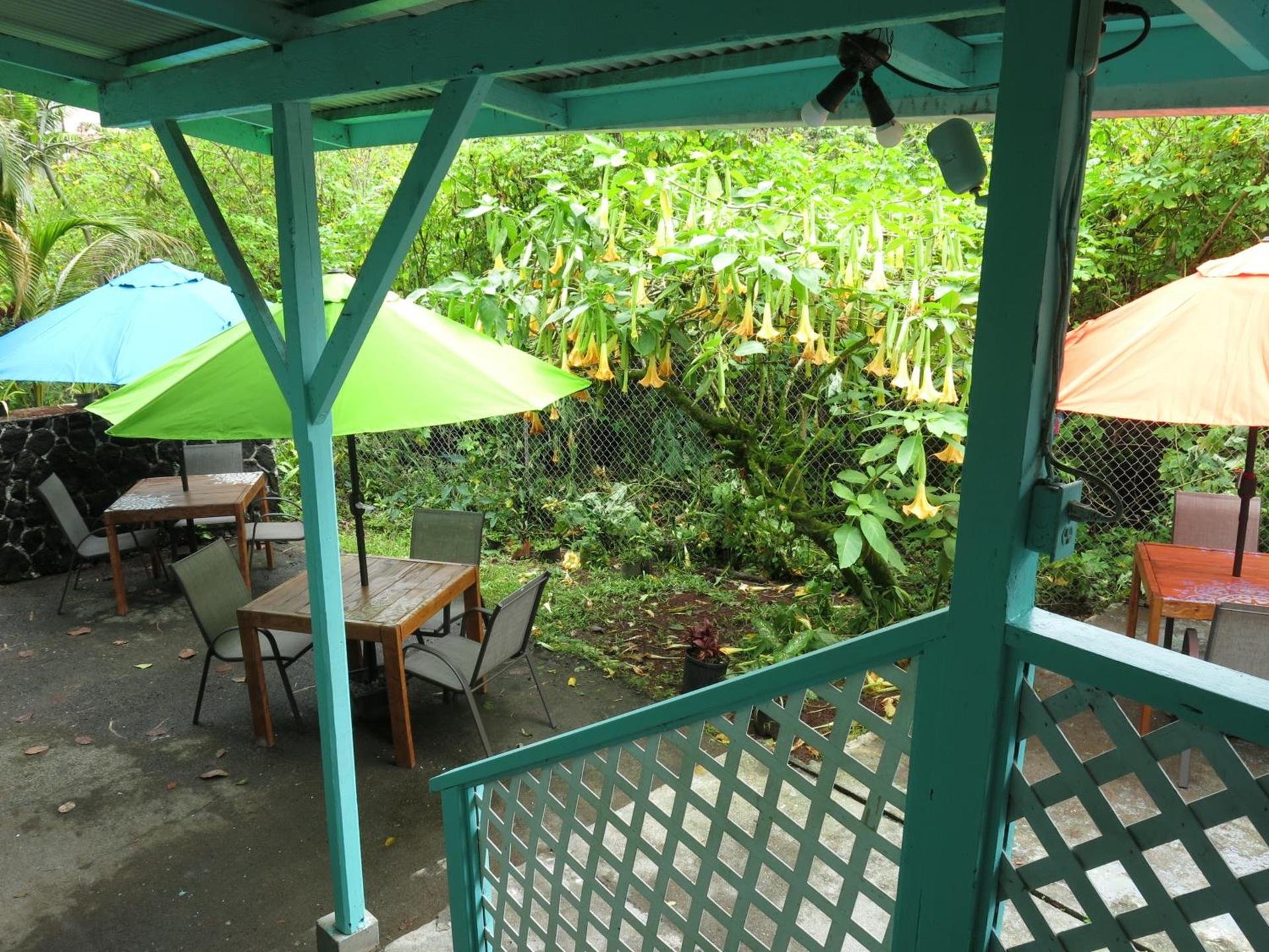 Pahoa Village Hostel photo 39