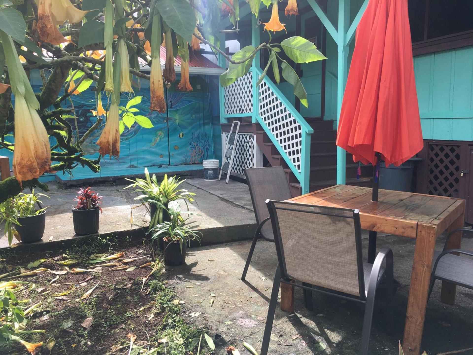 Pahoa Village Hostel photo 15