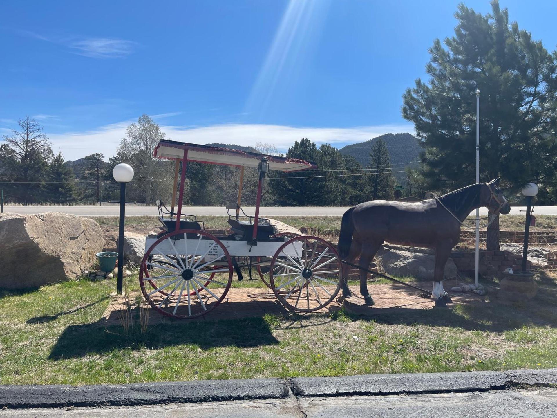 Saddle & Surrey Motel photo 10