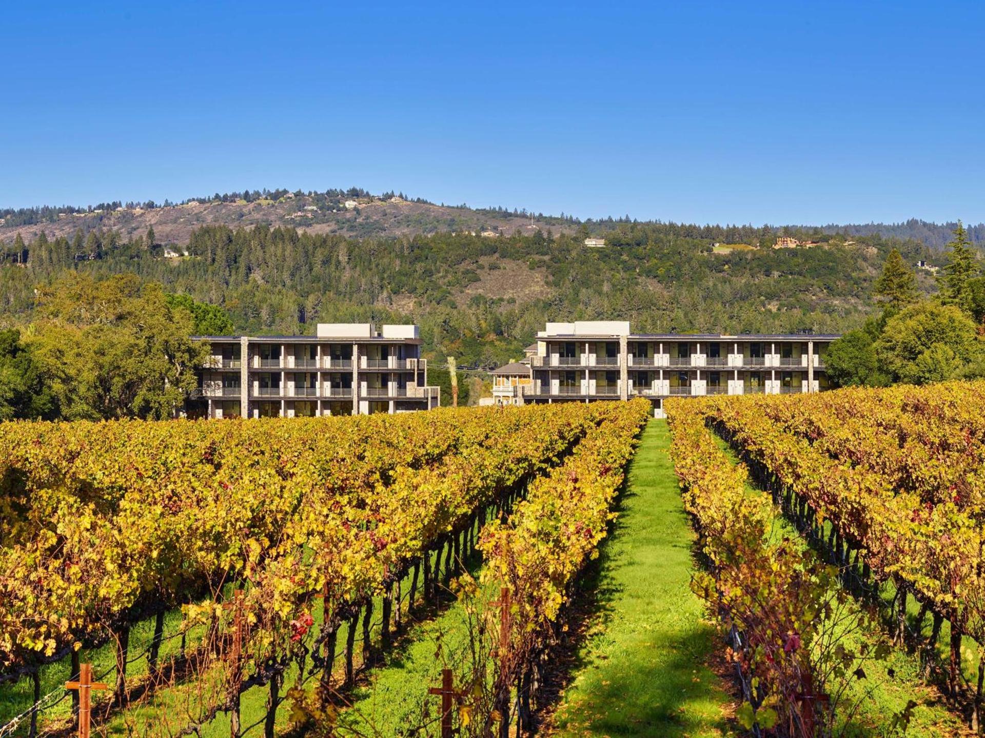 Alila Napa Valley, a Hyatt Resort photo 29