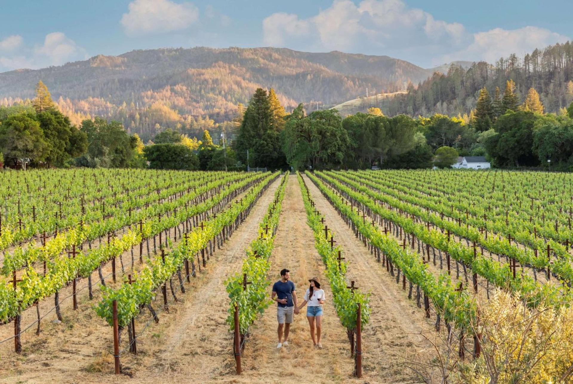Alila Napa Valley, a Hyatt Resort photo 48