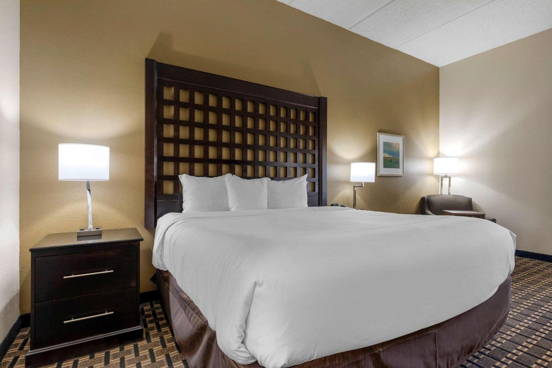 Comfort Inn Sherman - Denison Area photo 15