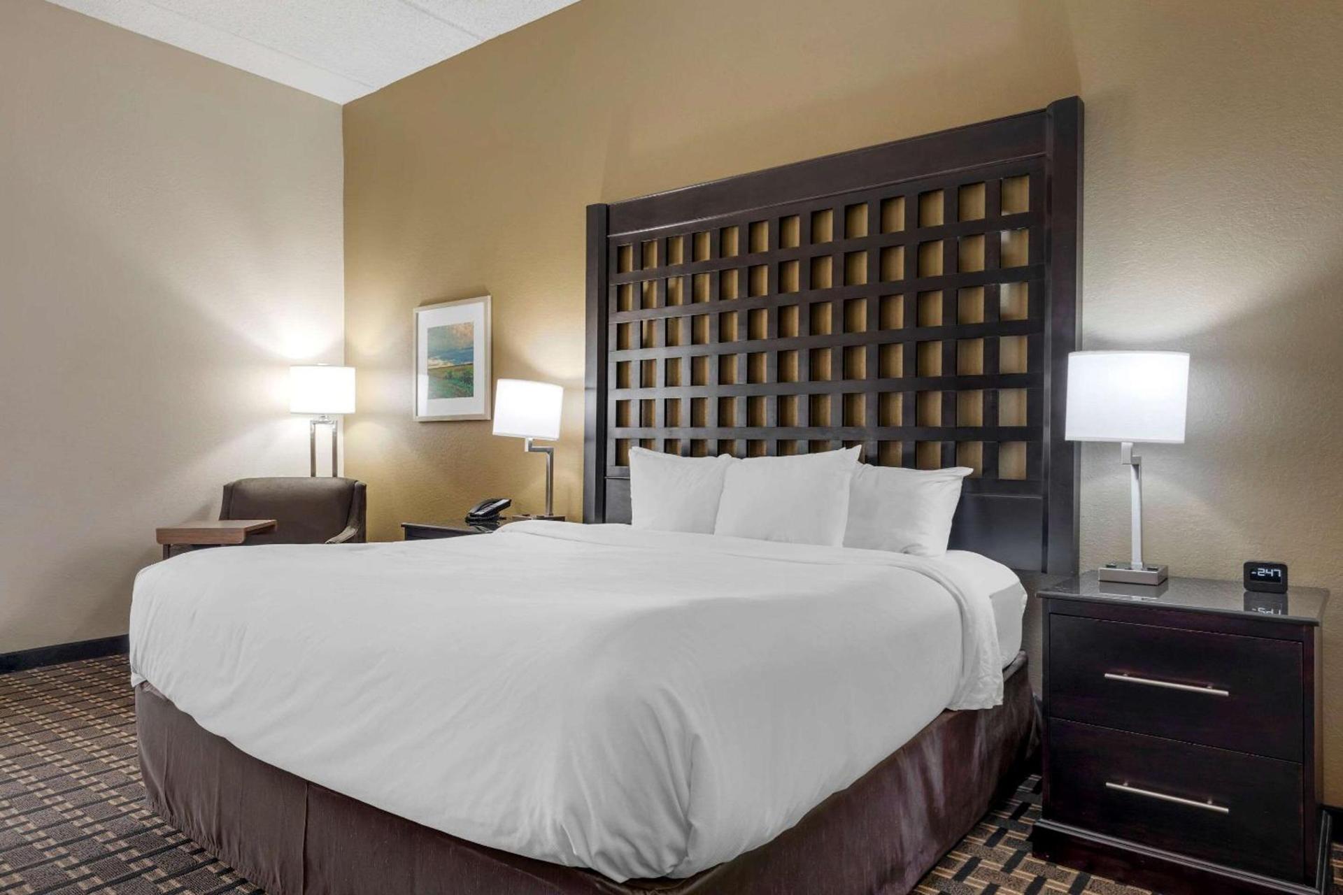 Comfort Inn Sherman - Denison Area photo 25