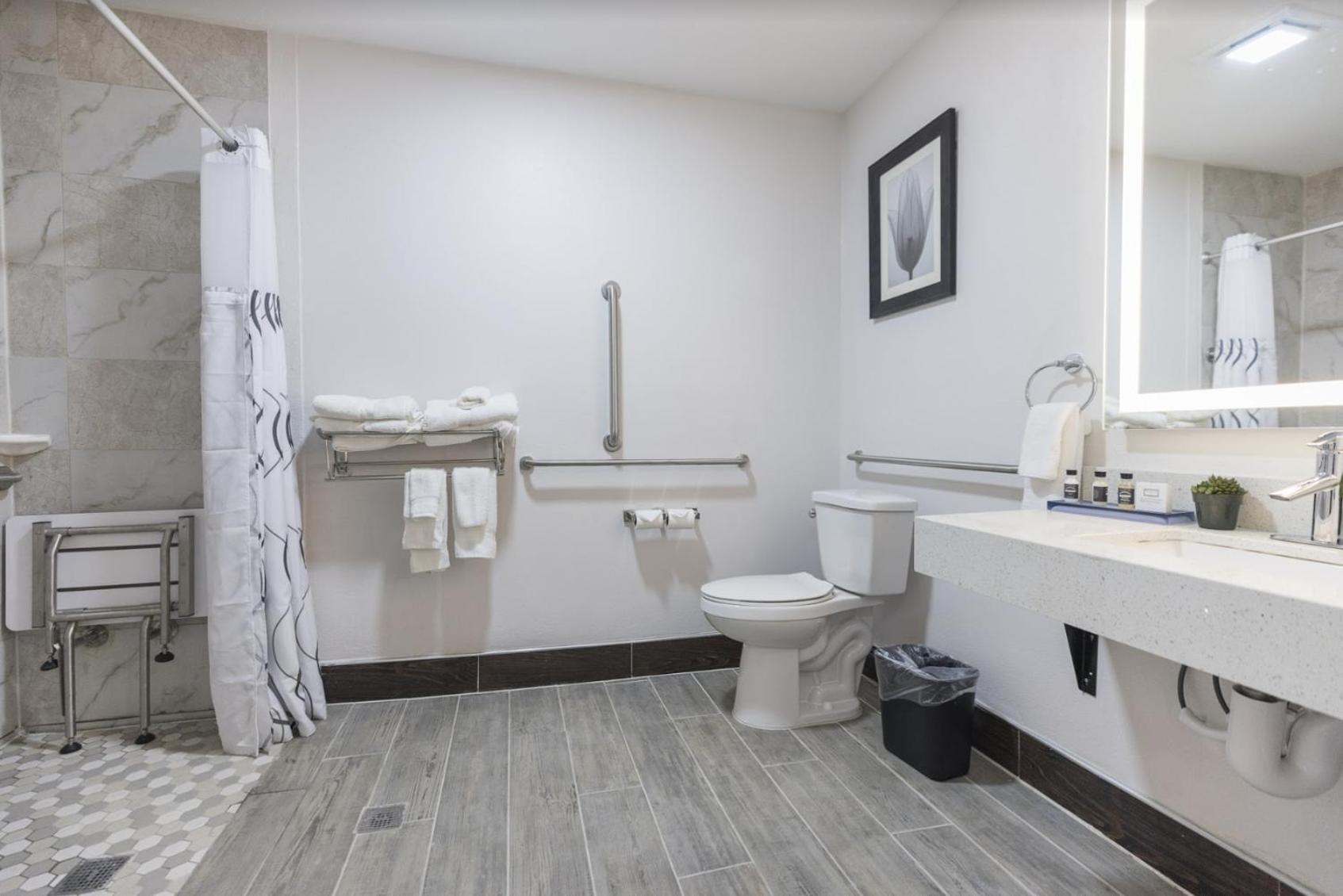 The Leo Collection Detroit, an Ascend Collection Hotel photo 88
