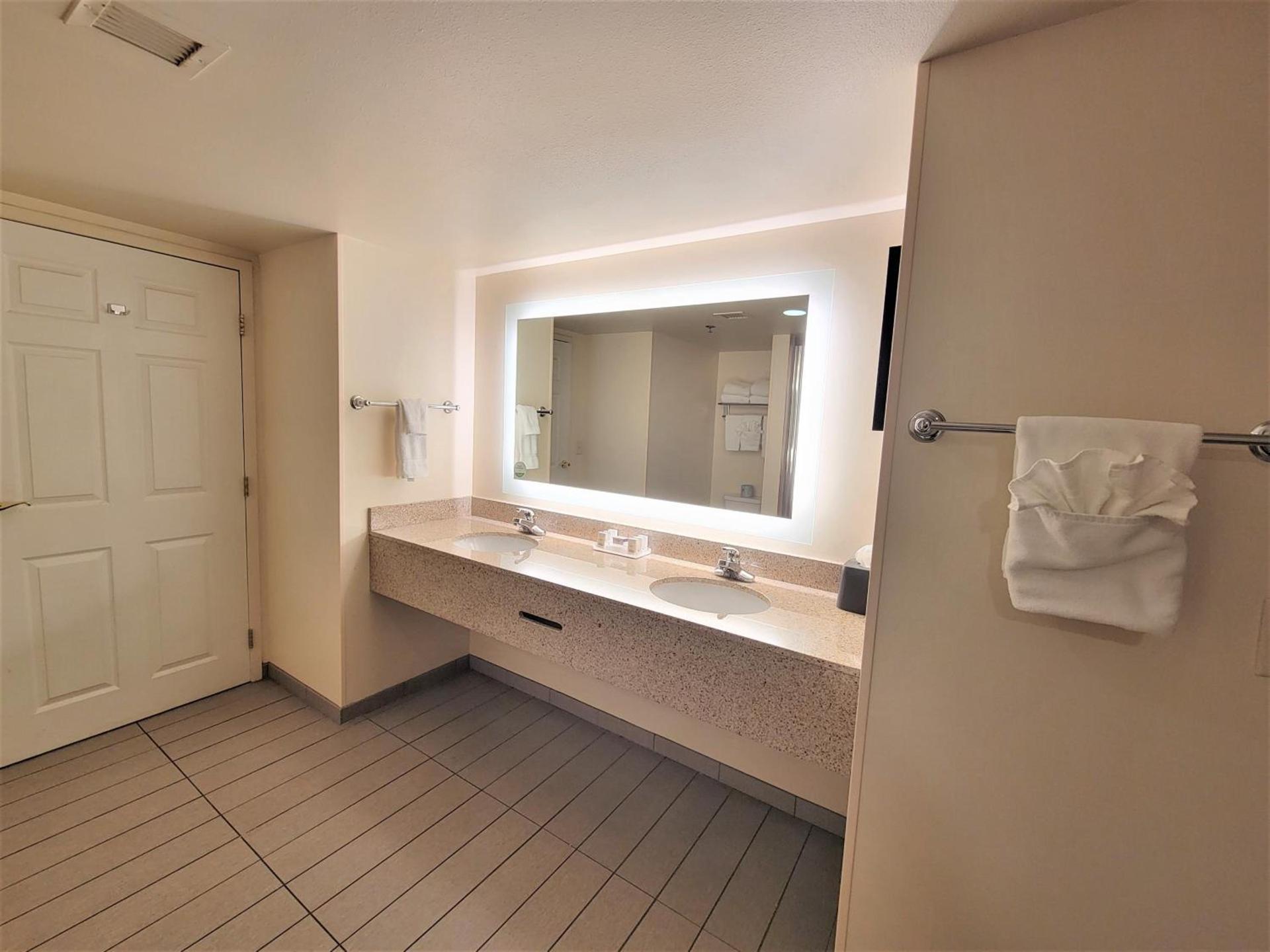 Holiday Inn Hotel & Suites Ann Arbor University of Michigan Area by IHG photo 44
