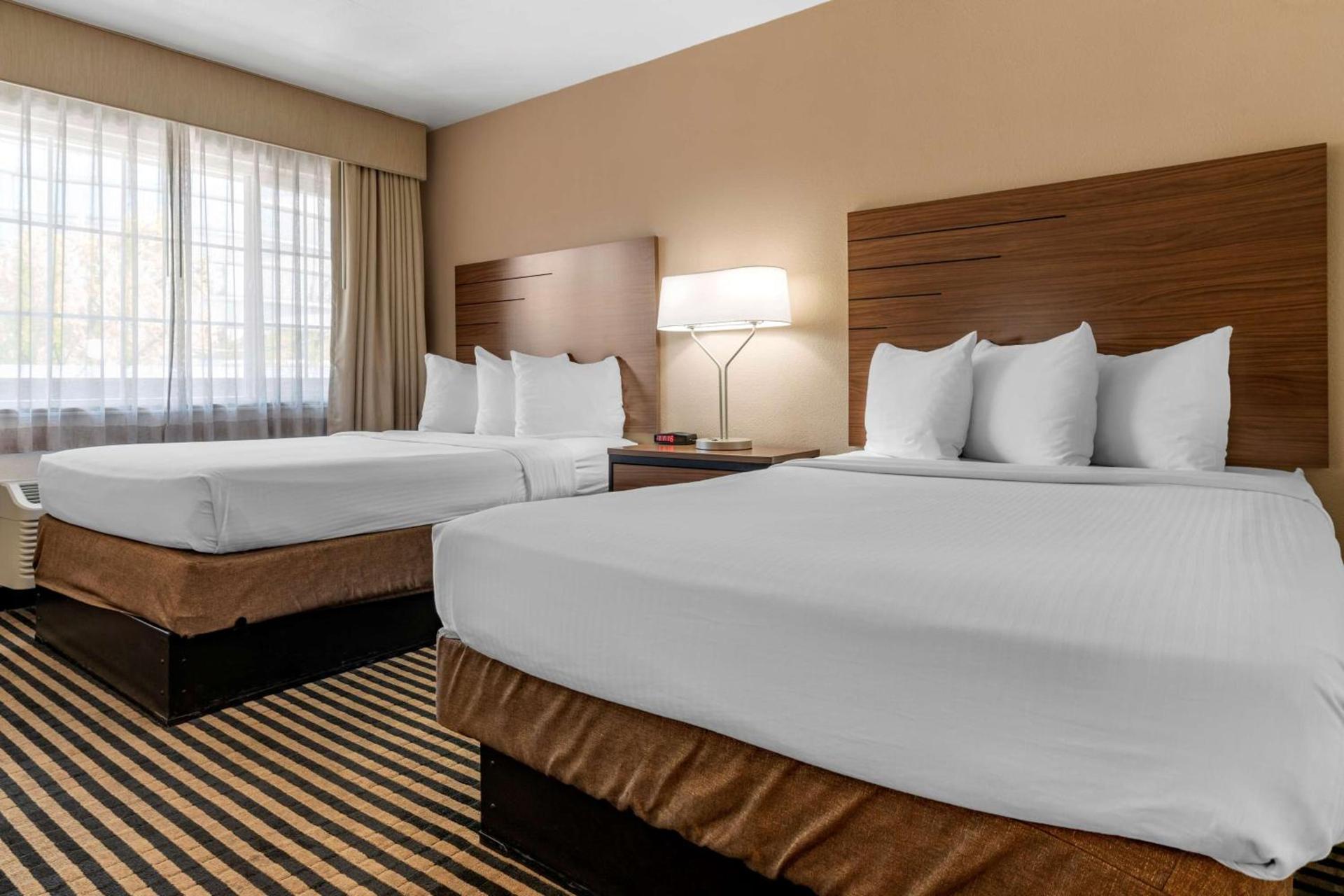 Best Western Town House Lodge photo 11