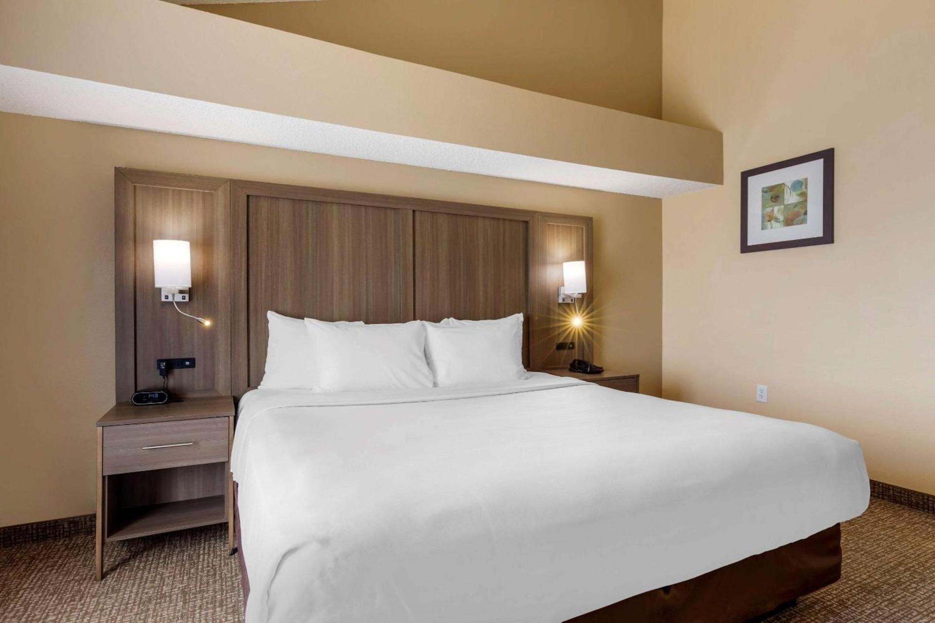 Comfort Suites DFW Airport photo 9