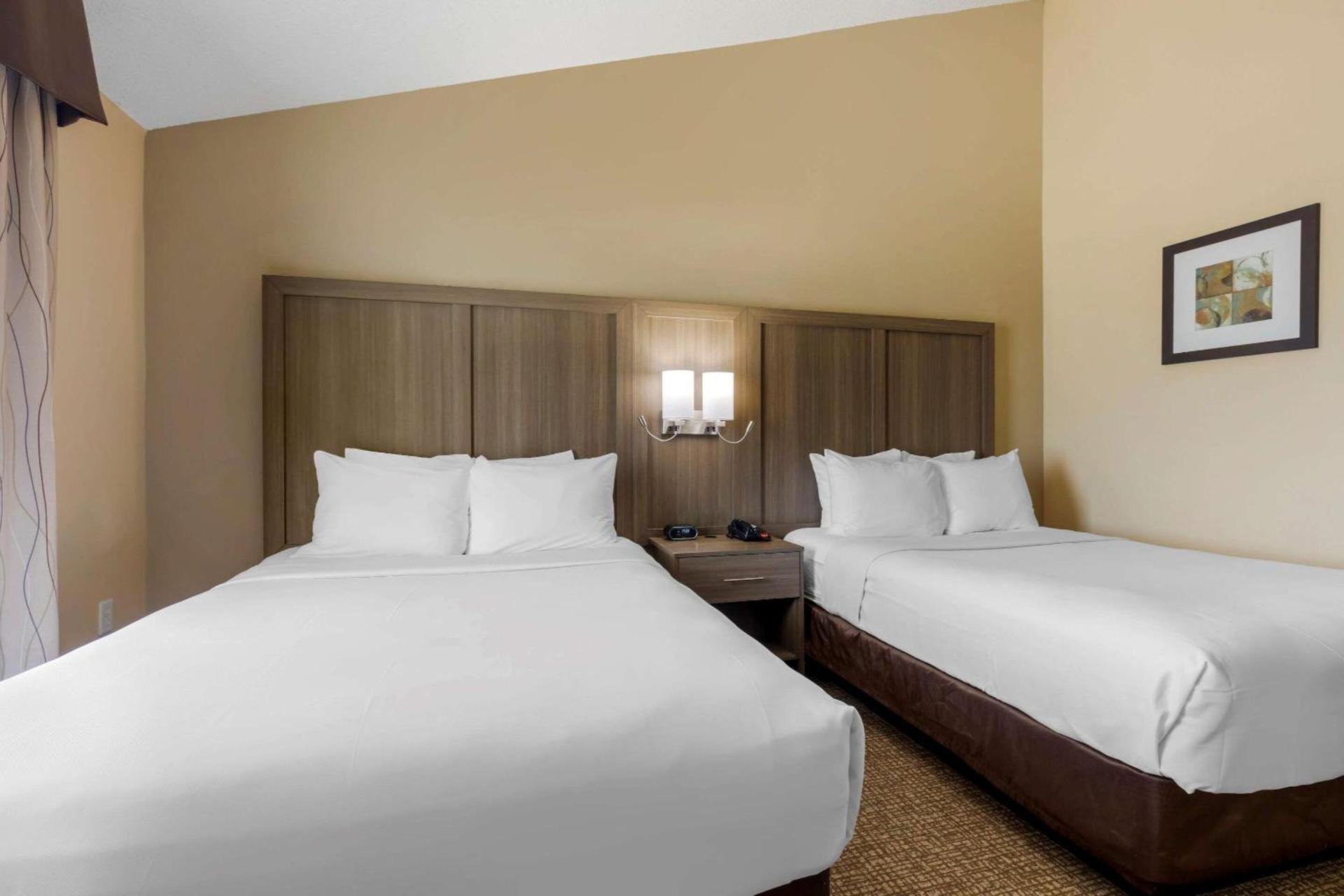 Comfort Suites DFW Airport photo 15