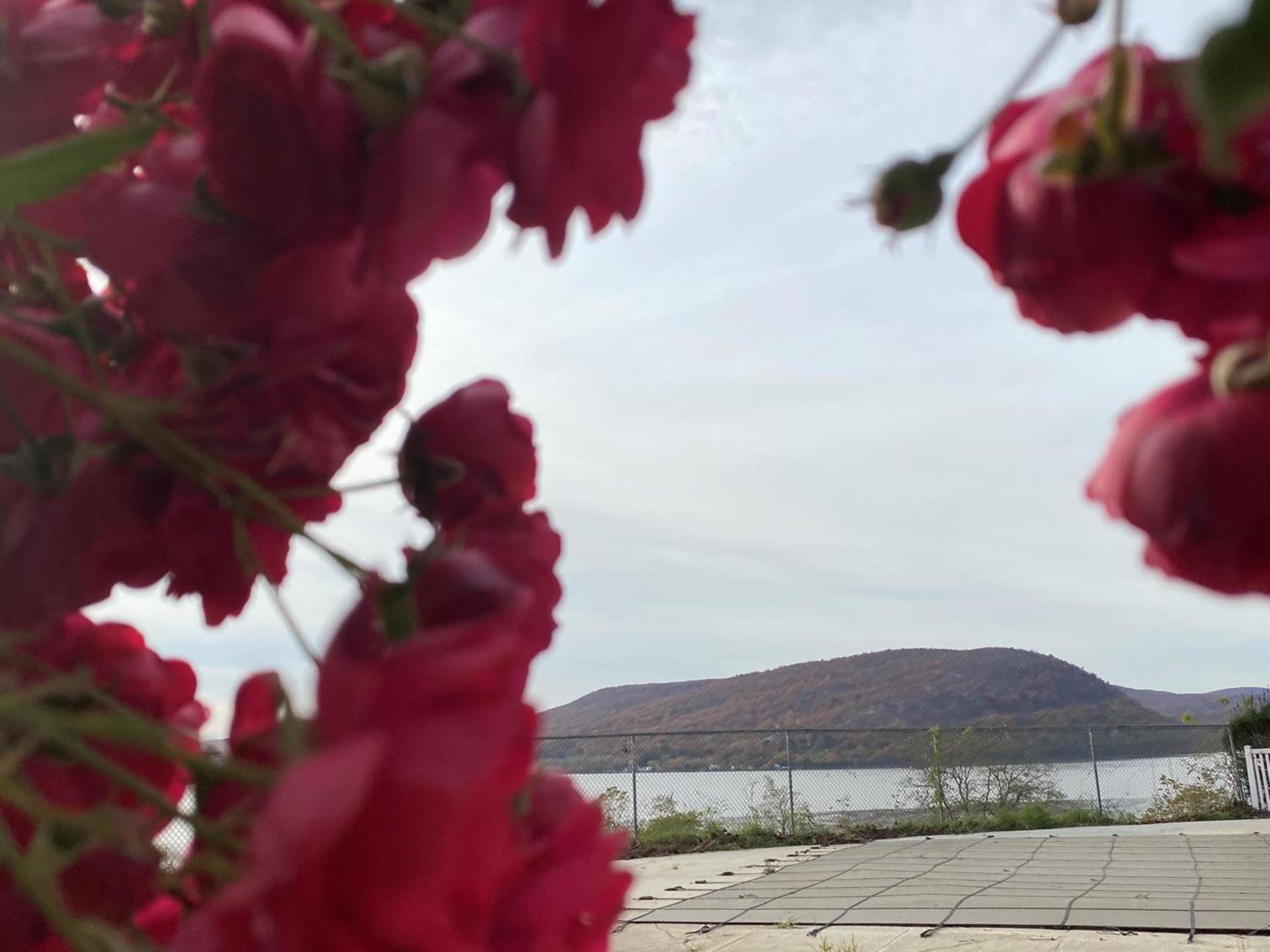 Inn on the Hudson photo 21