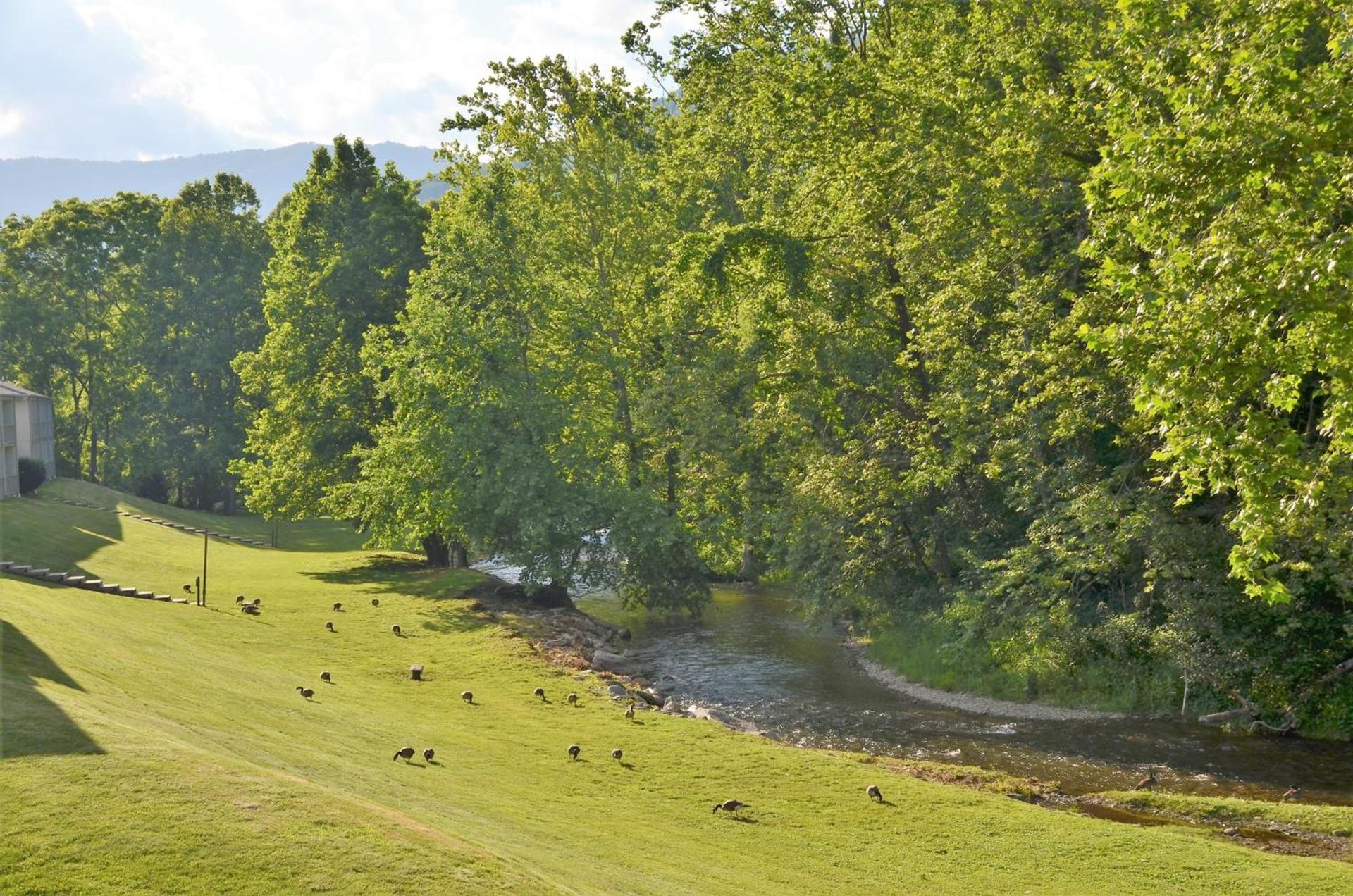 Quality Inn Cherokee Riverside photo 28