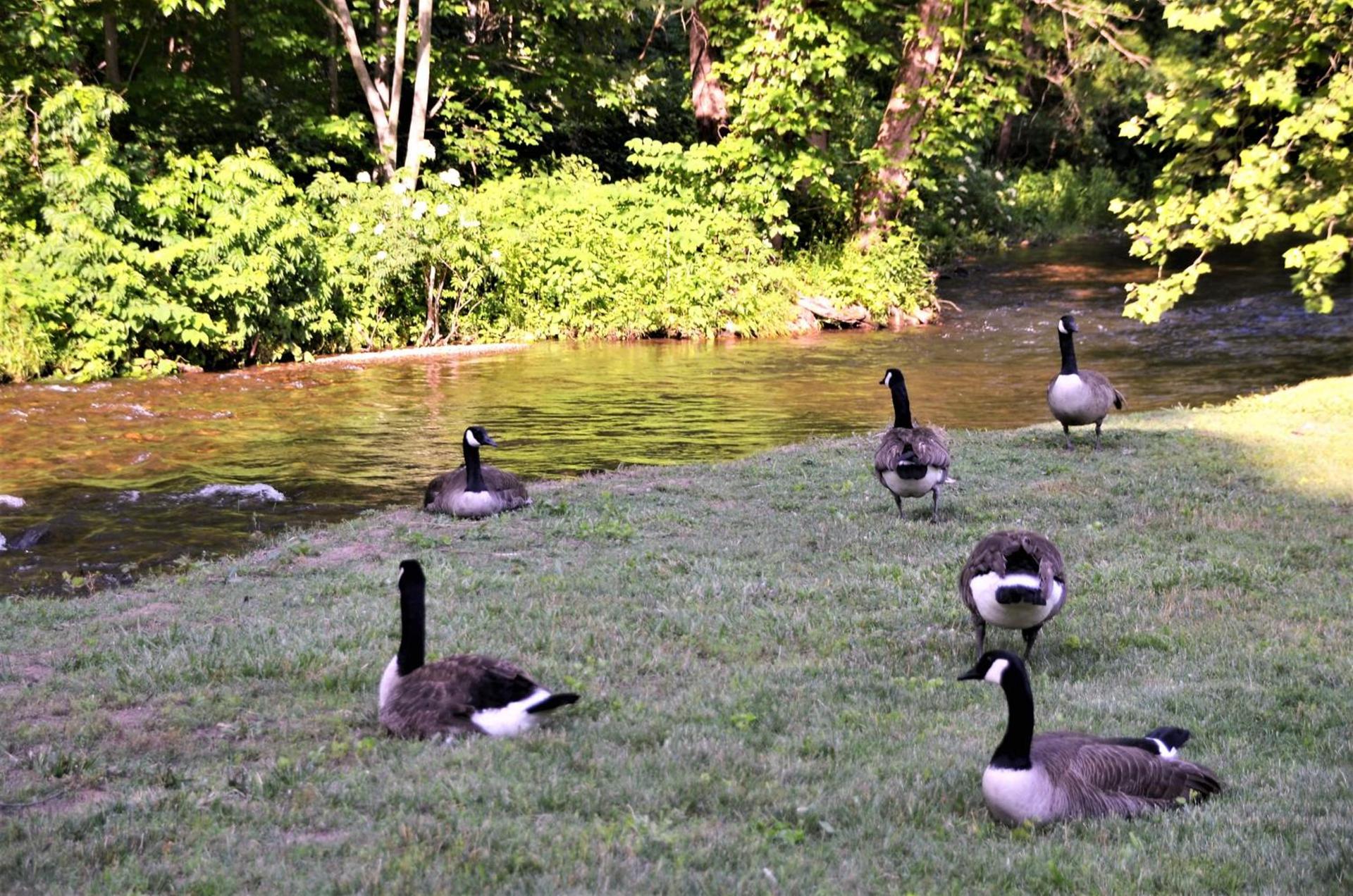 Quality Inn Cherokee Riverside photo 32
