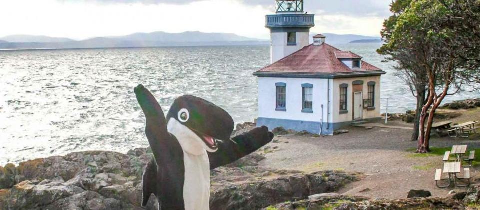 The Orca Inn photo 12