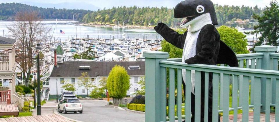 The Orca Inn photo 13