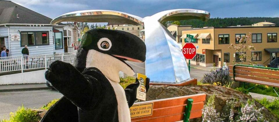The Orca Inn photo 15