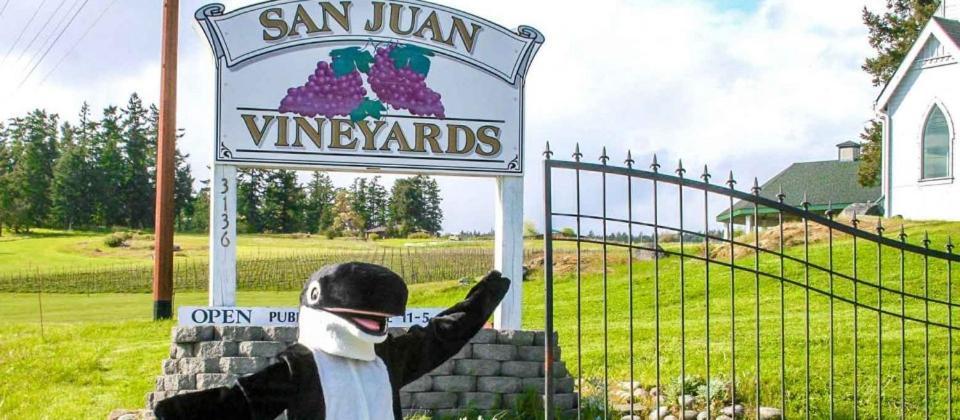 The Orca Inn photo 16
