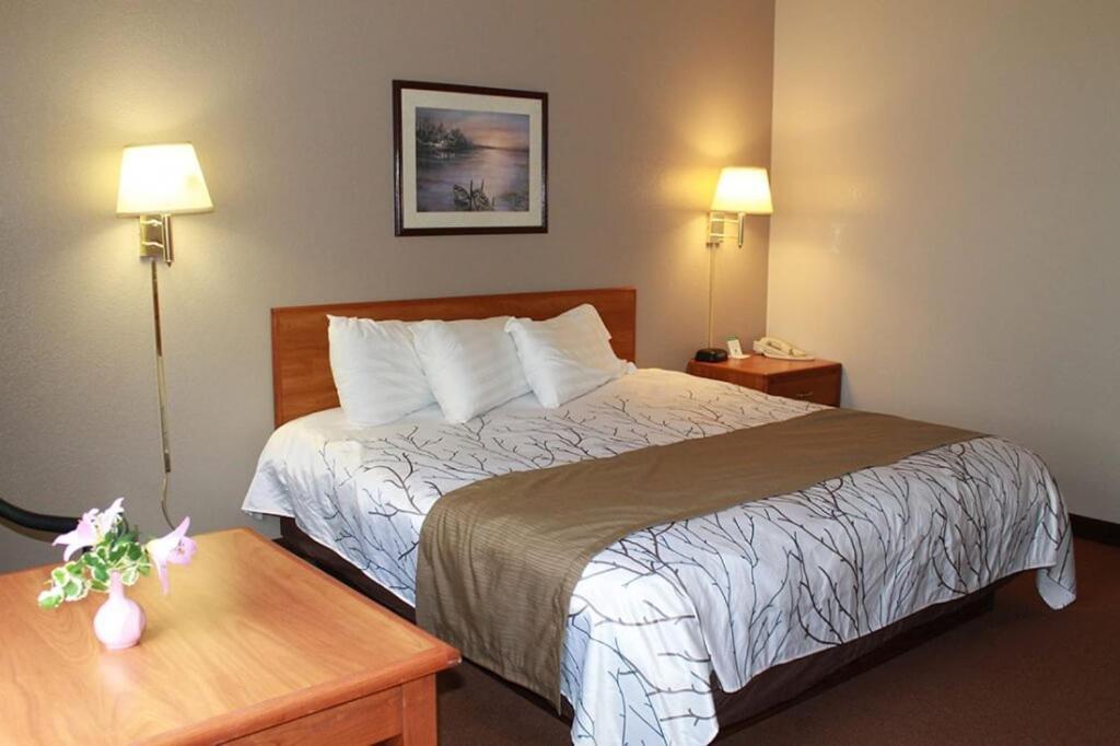 Edmore Inn photo 32