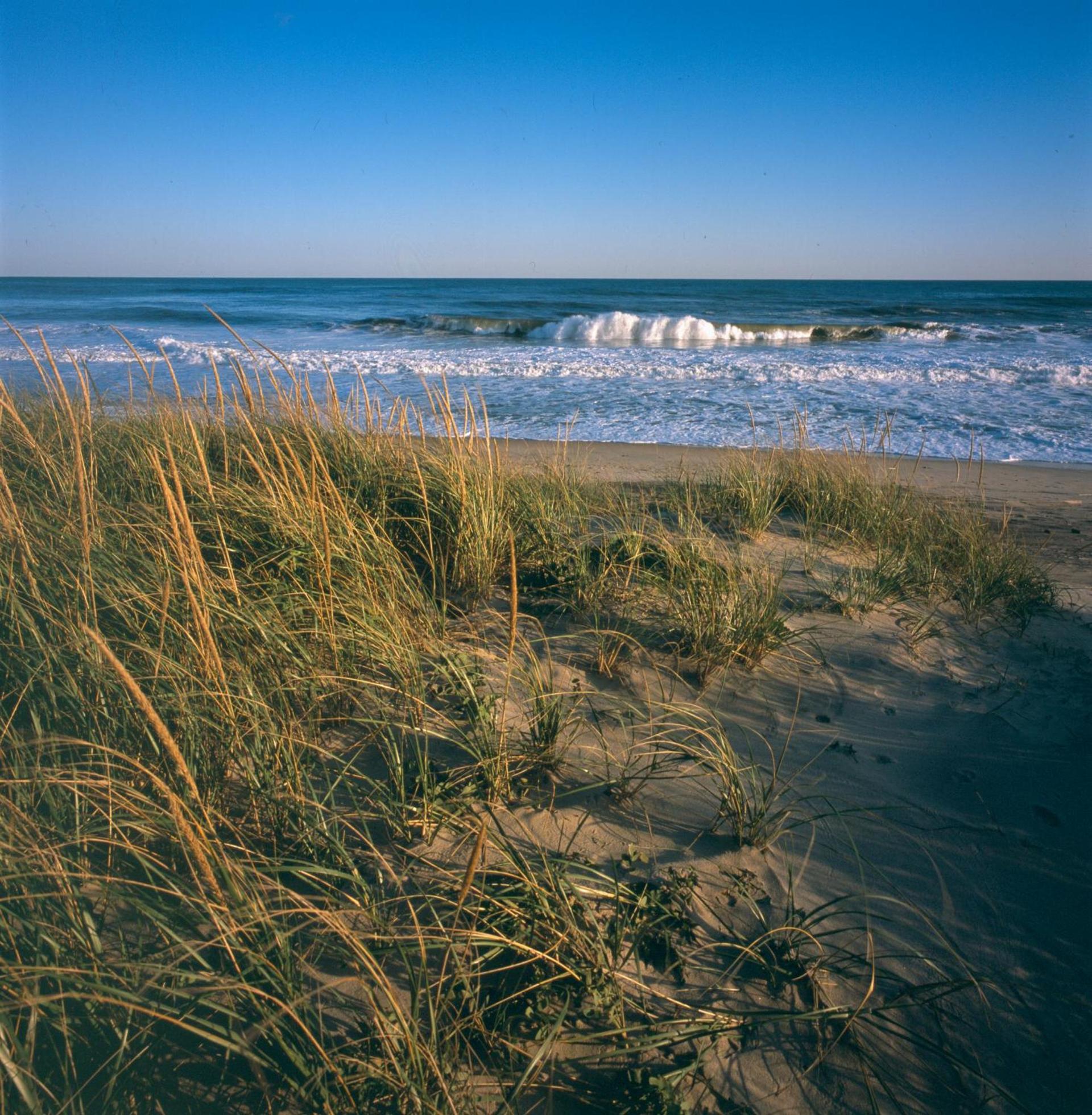 Windward Shores photo 19