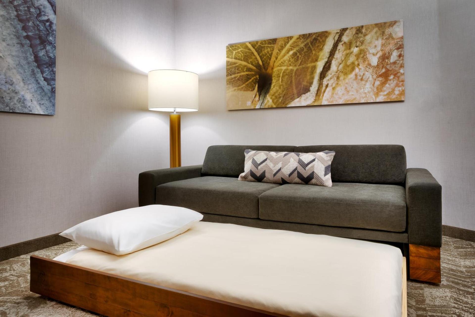 SpringHill Suites by Marriott Cottonwood photo 37