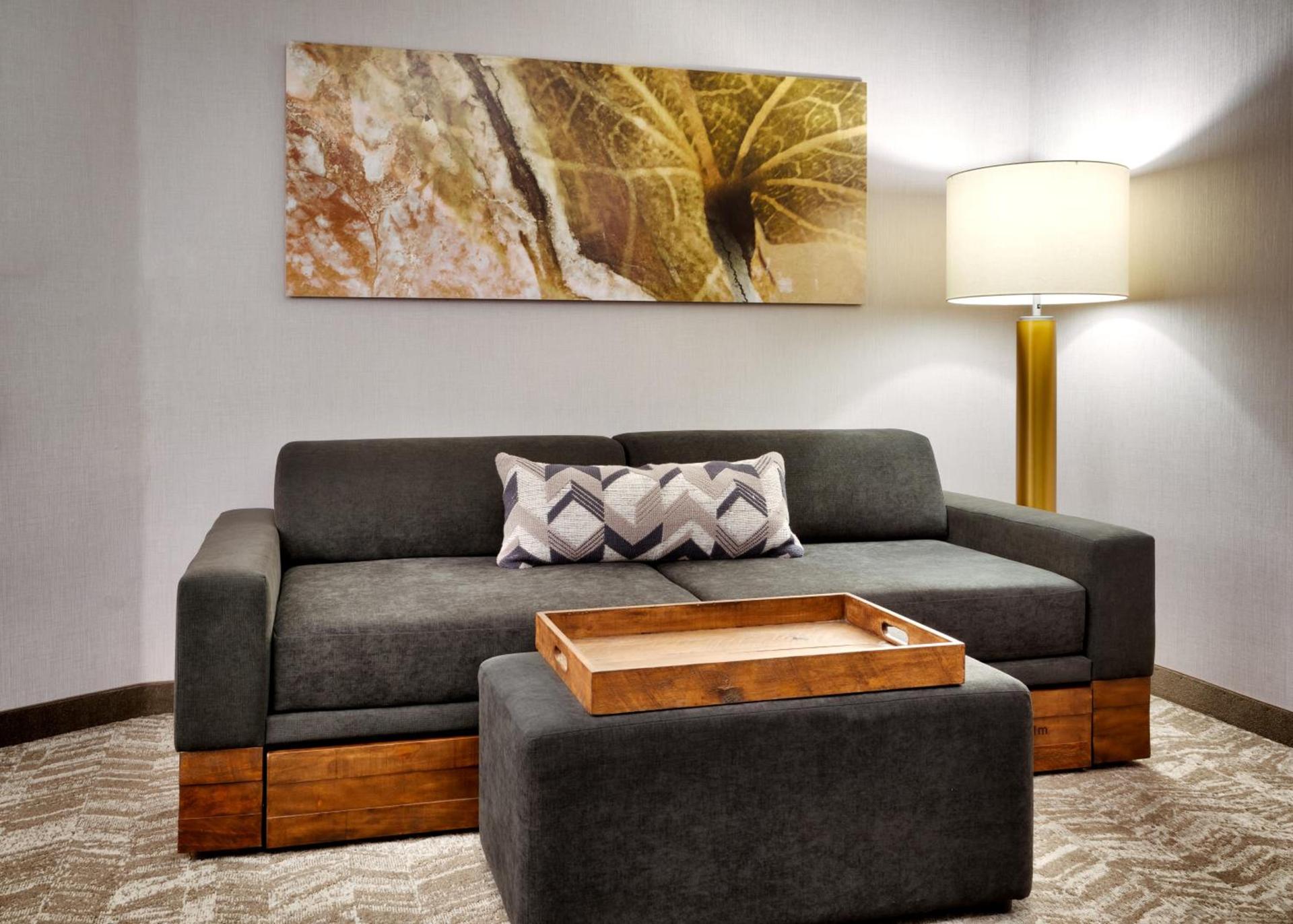 SpringHill Suites by Marriott Cottonwood photo 43