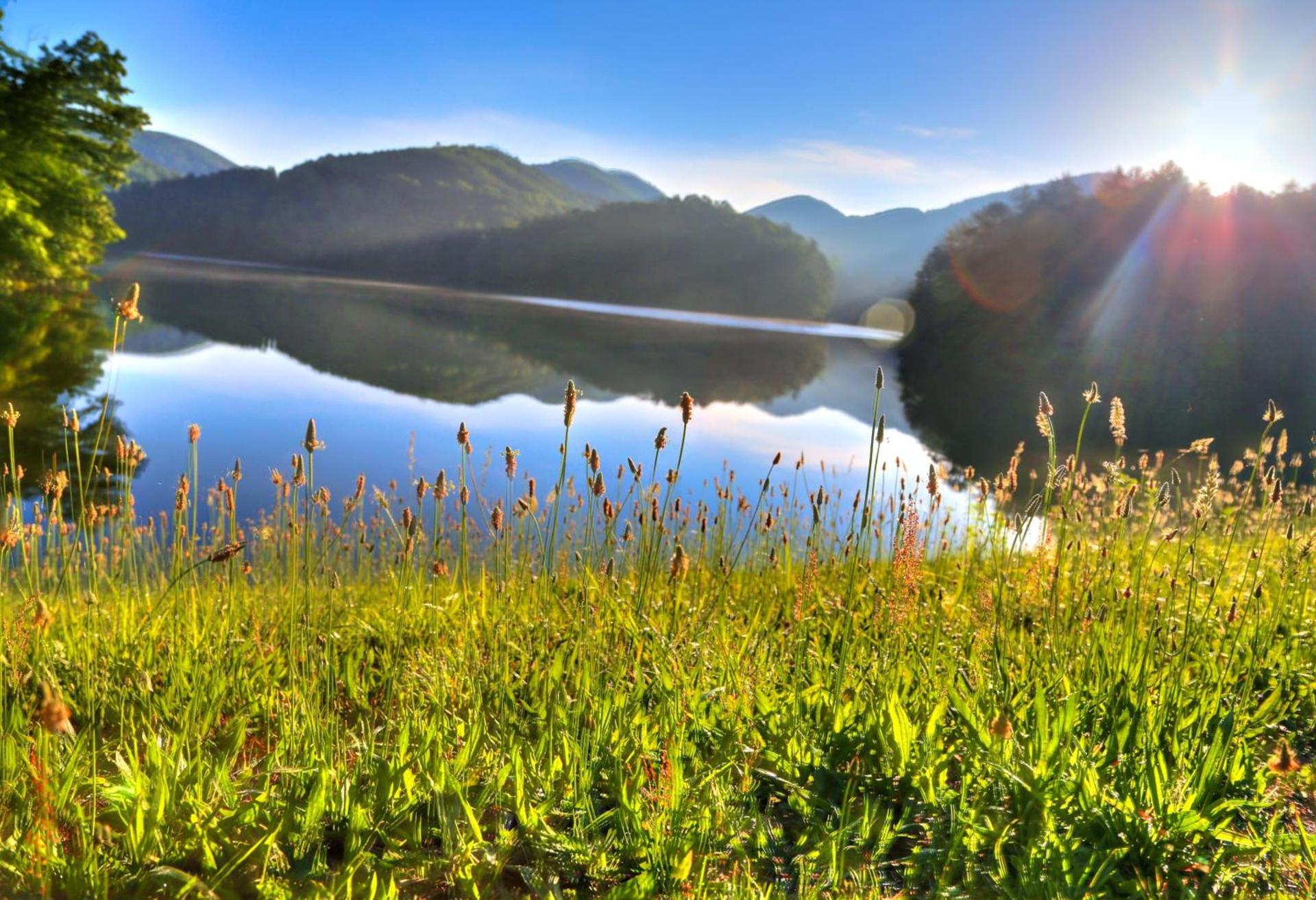 Unicoi State Park & Lodge photo 14