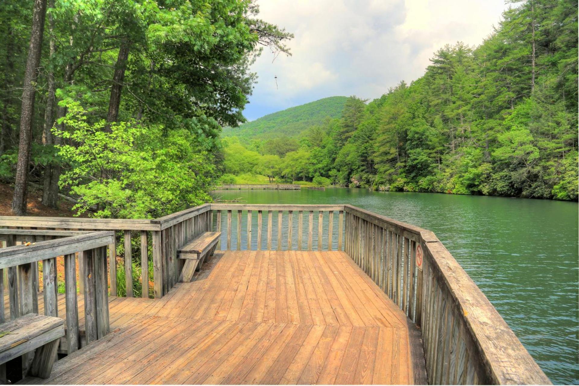 Unicoi State Park & Lodge photo 21