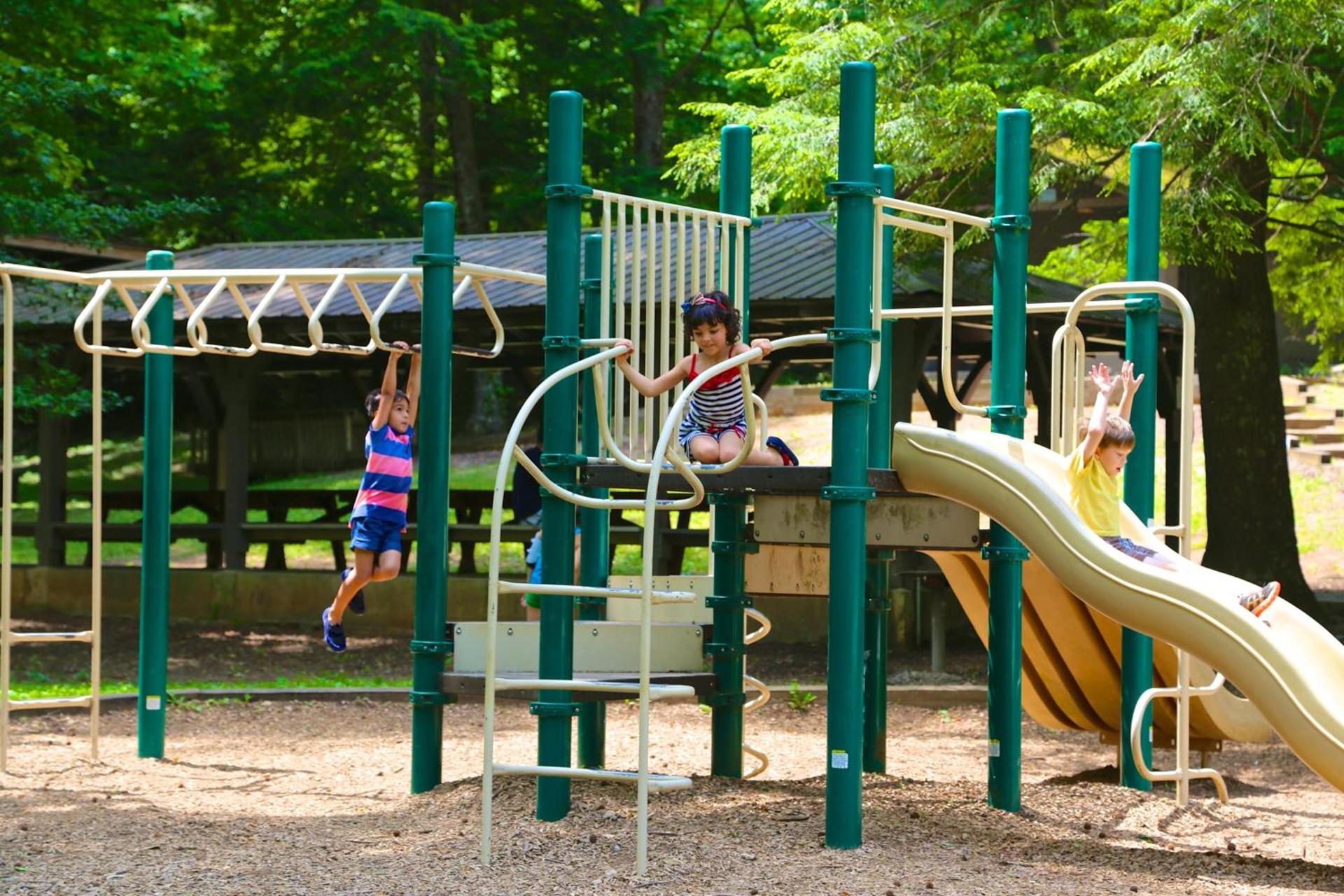 Unicoi State Park & Lodge photo 20