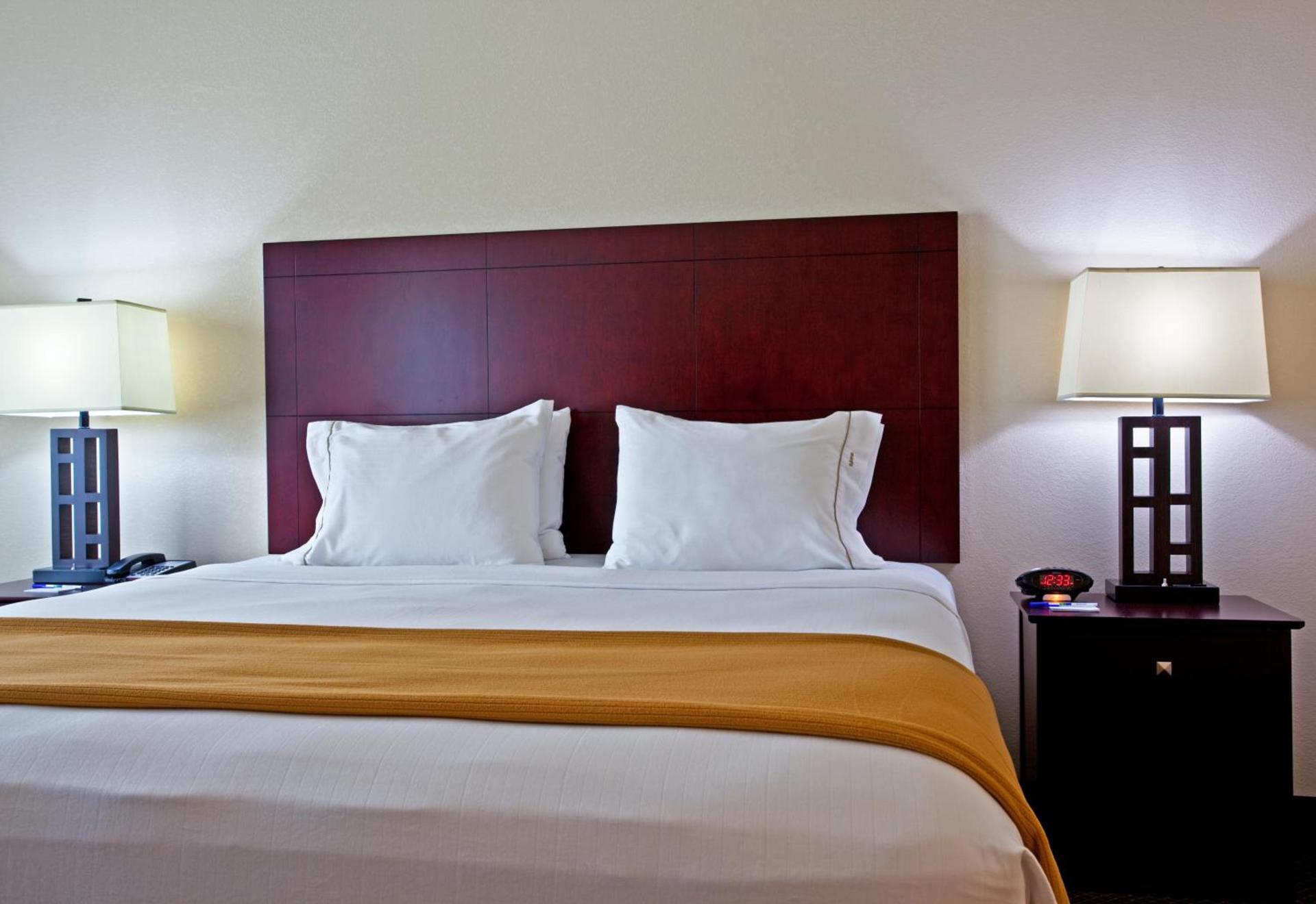 Holiday Inn Express & Suites Chicago West-O'Hare Arpt Area by IHG photo 4