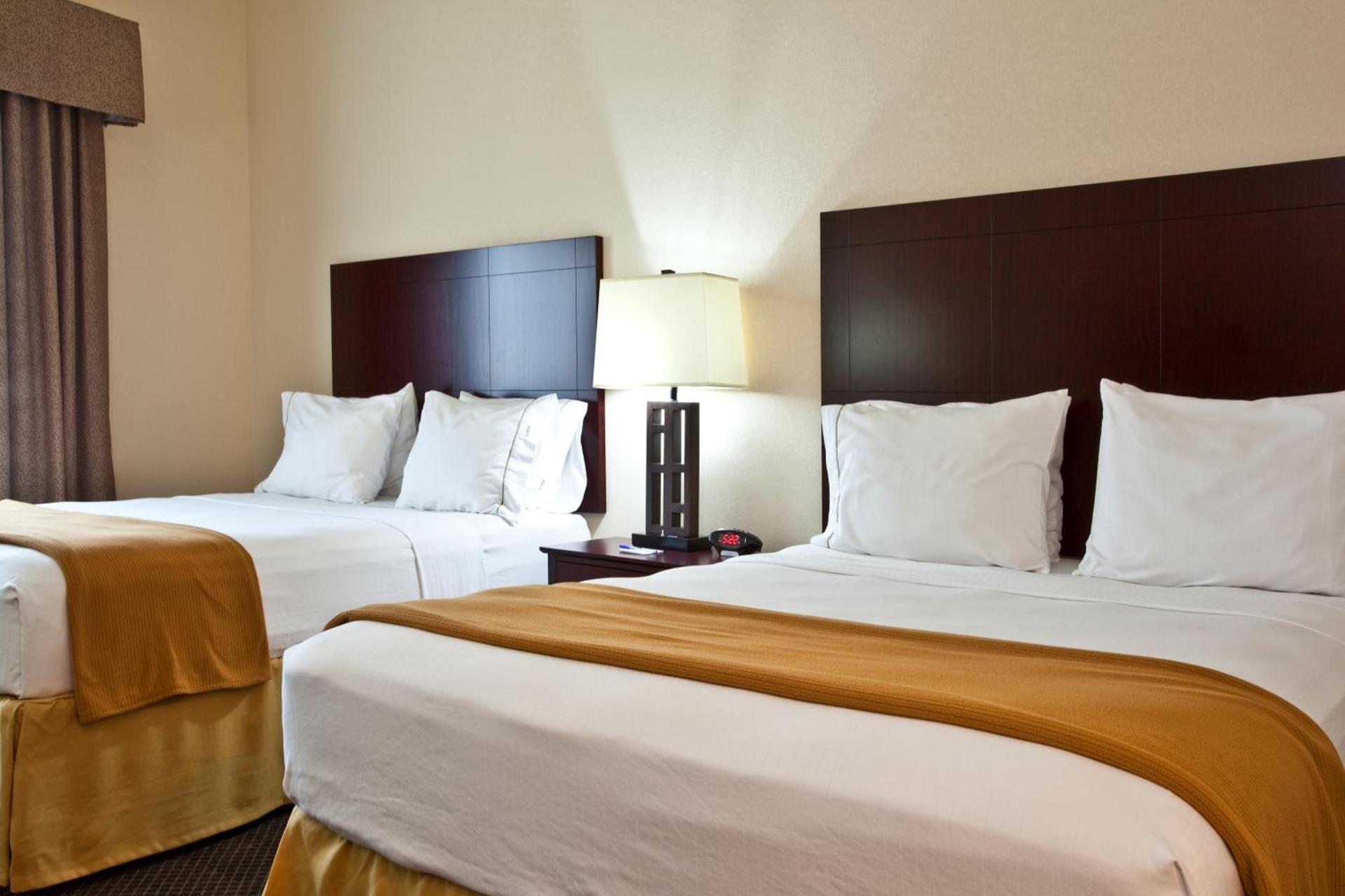 Holiday Inn Express & Suites Chicago West-O'Hare Arpt Area by IHG photo 5
