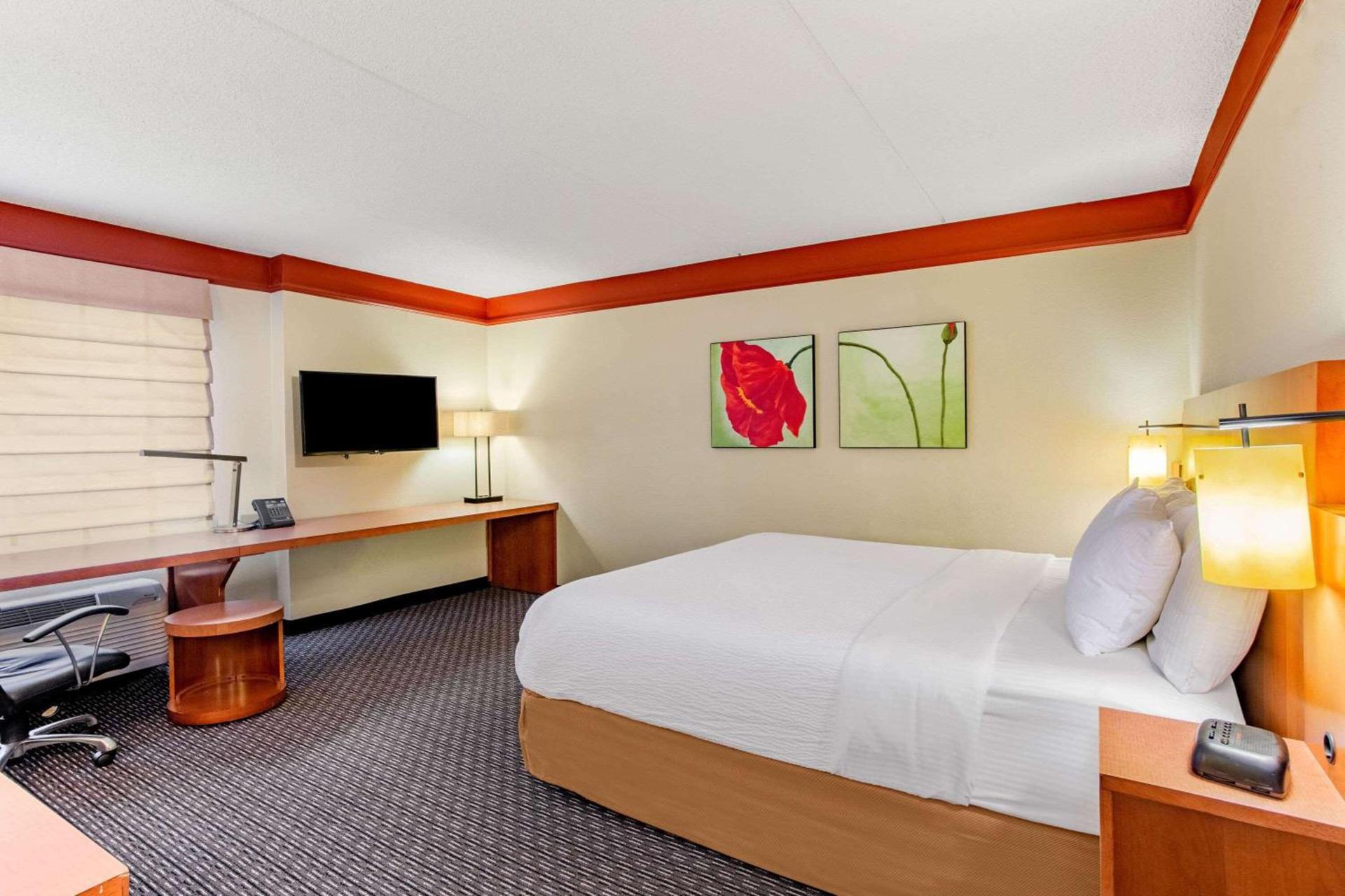 La Quinta by Wyndham Raleigh/Durham Southpoint photo 28