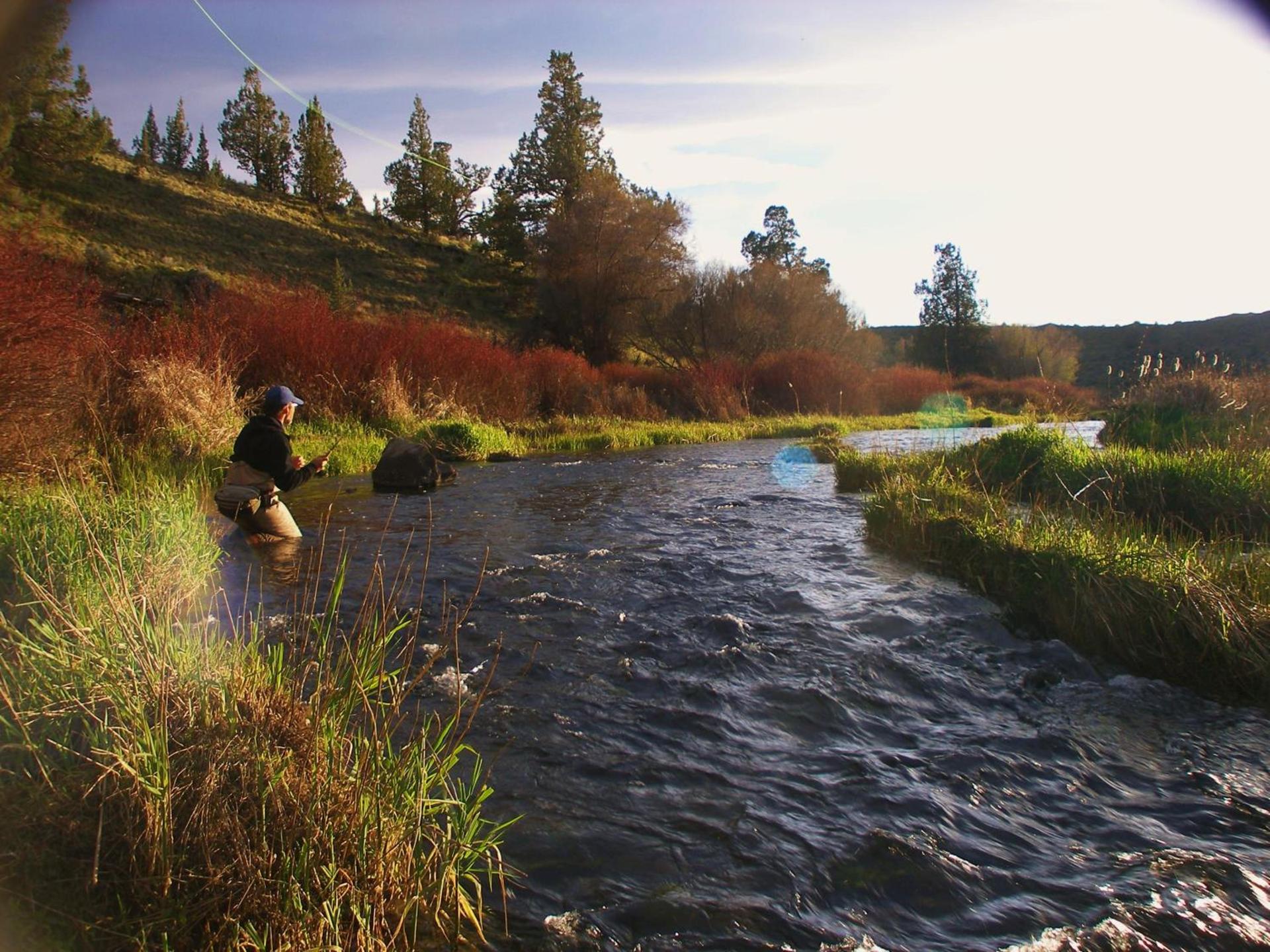 Brasada Ranch photo 19