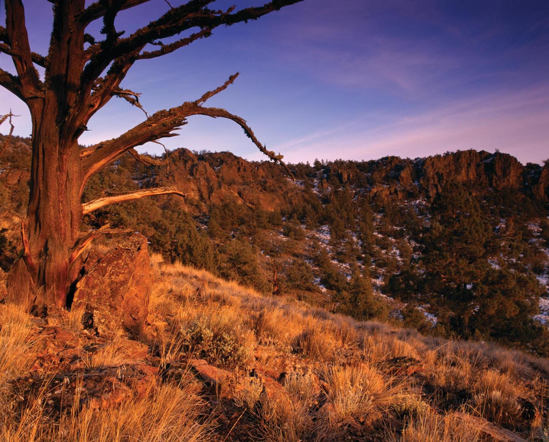 Brasada Ranch photo 36