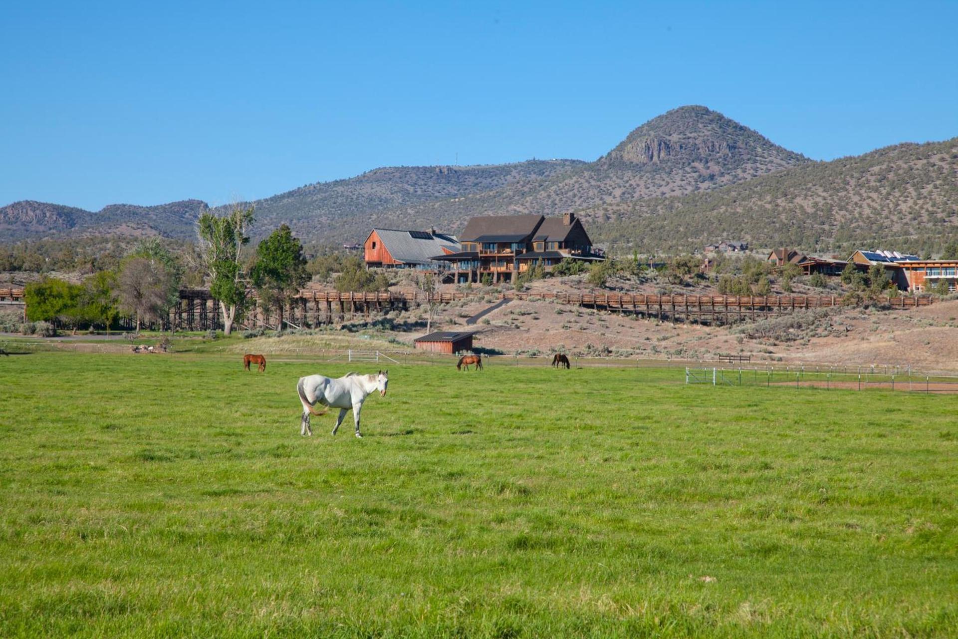 Brasada Ranch photo 61