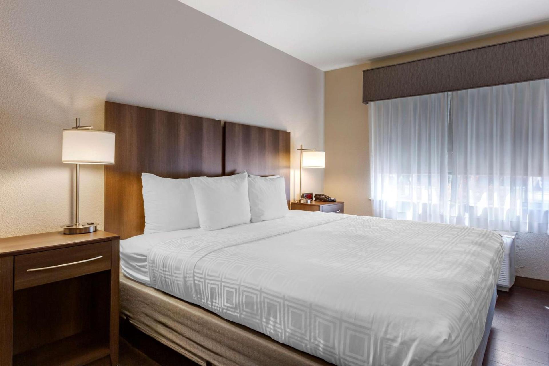 Best Western North Phoenix Hotel photo 14