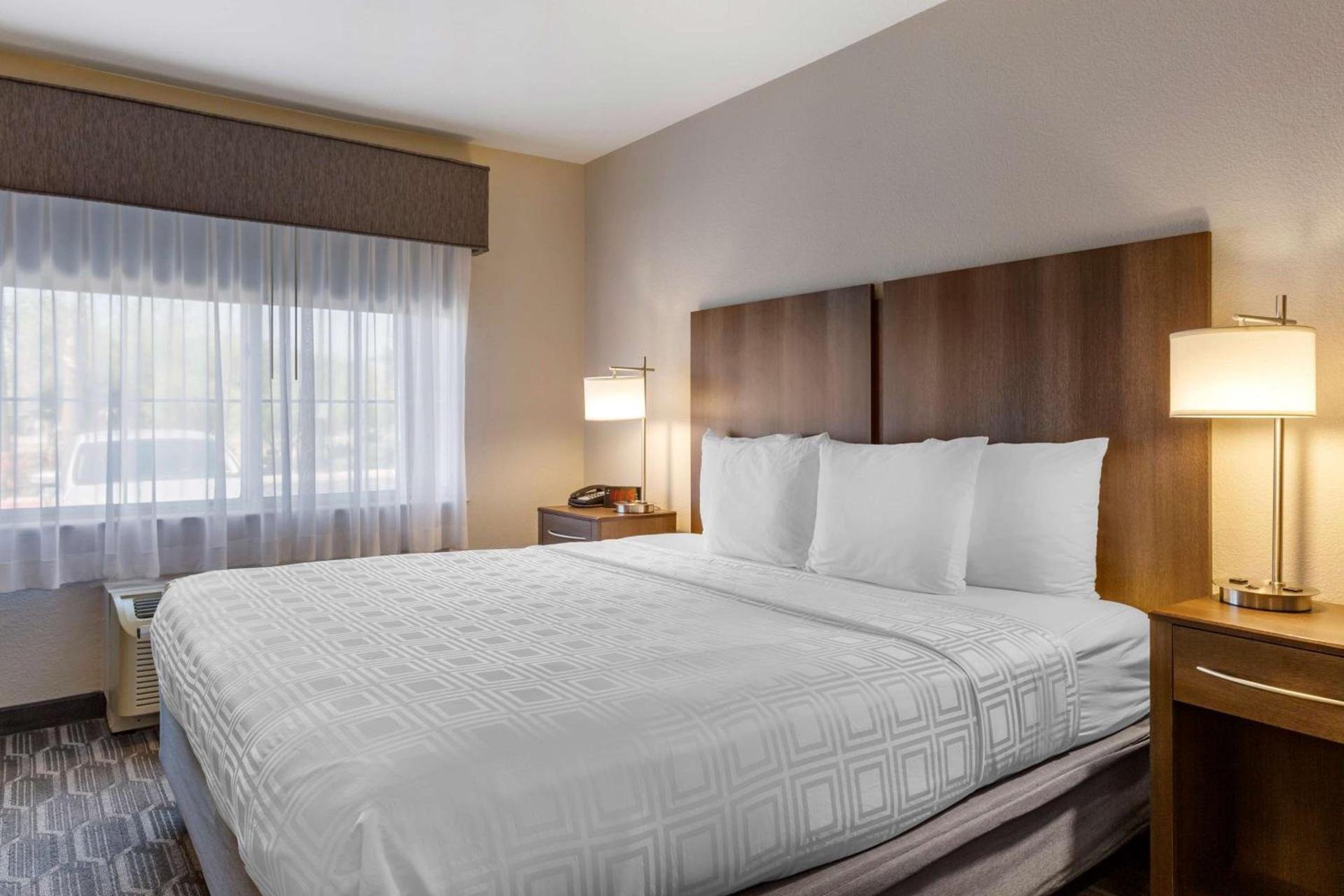 Best Western North Phoenix Hotel photo 16