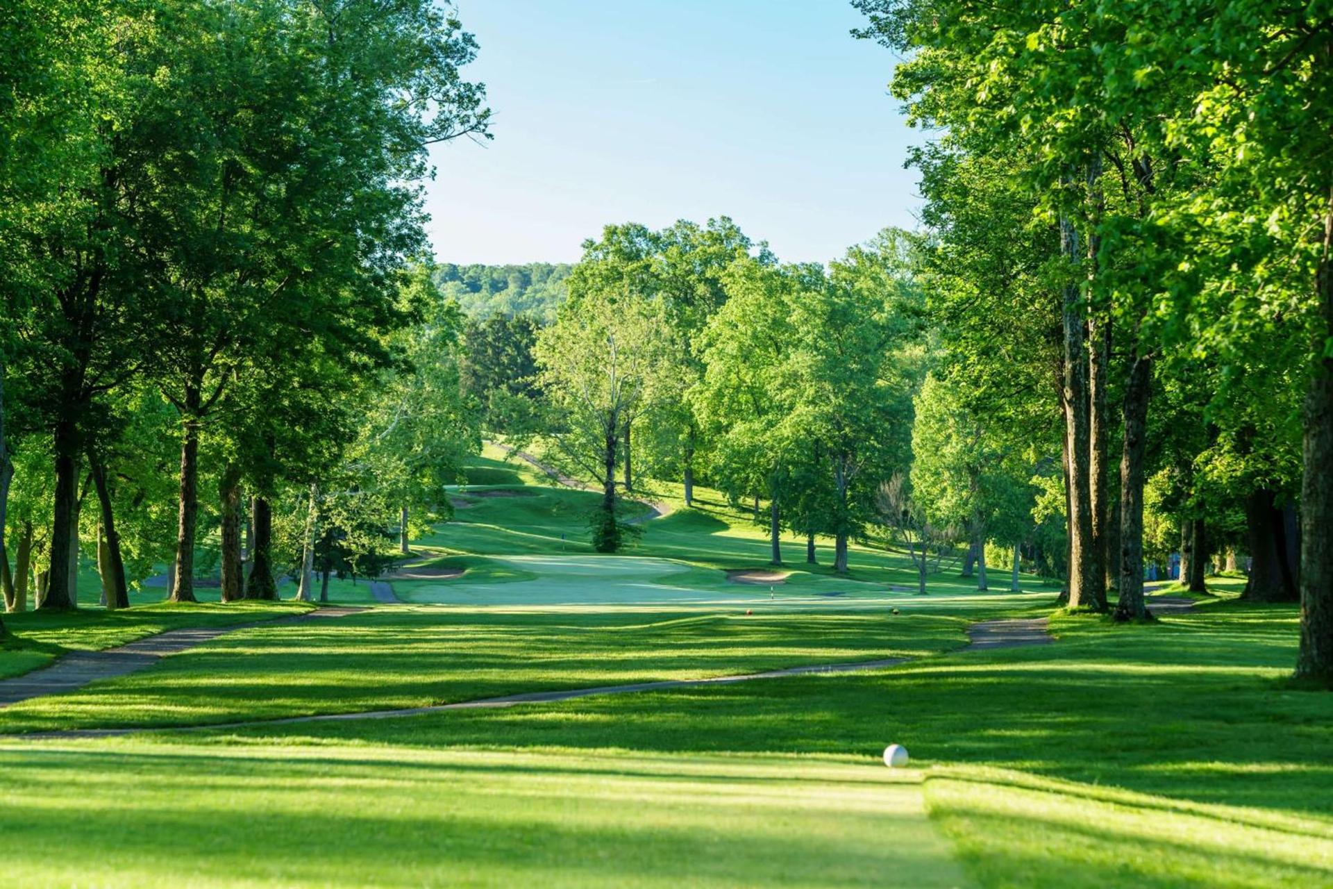 Lakeview Golf Resort photo 3